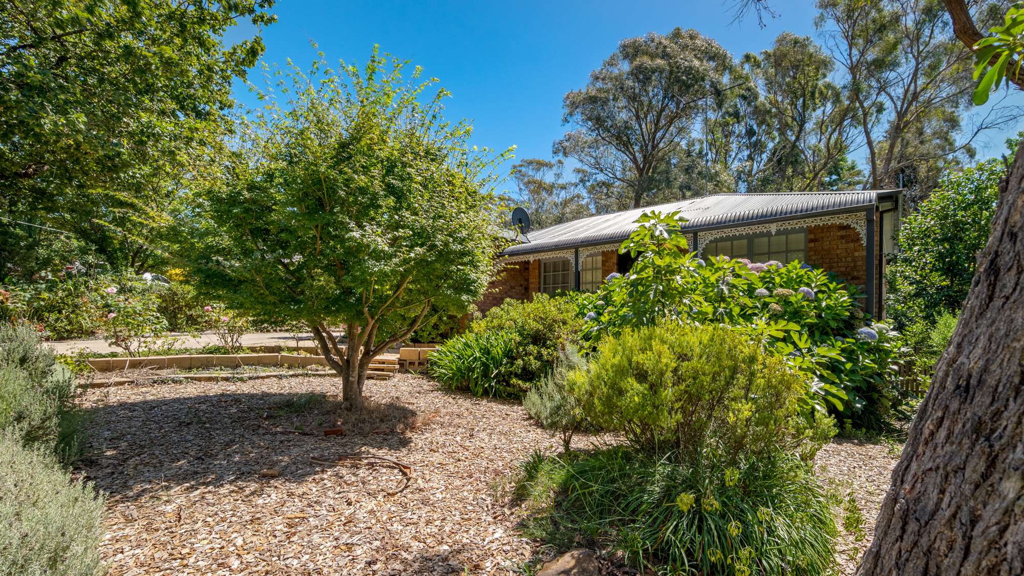 5 Cook Road, Wentworth Falls, NSW 2782 AUS