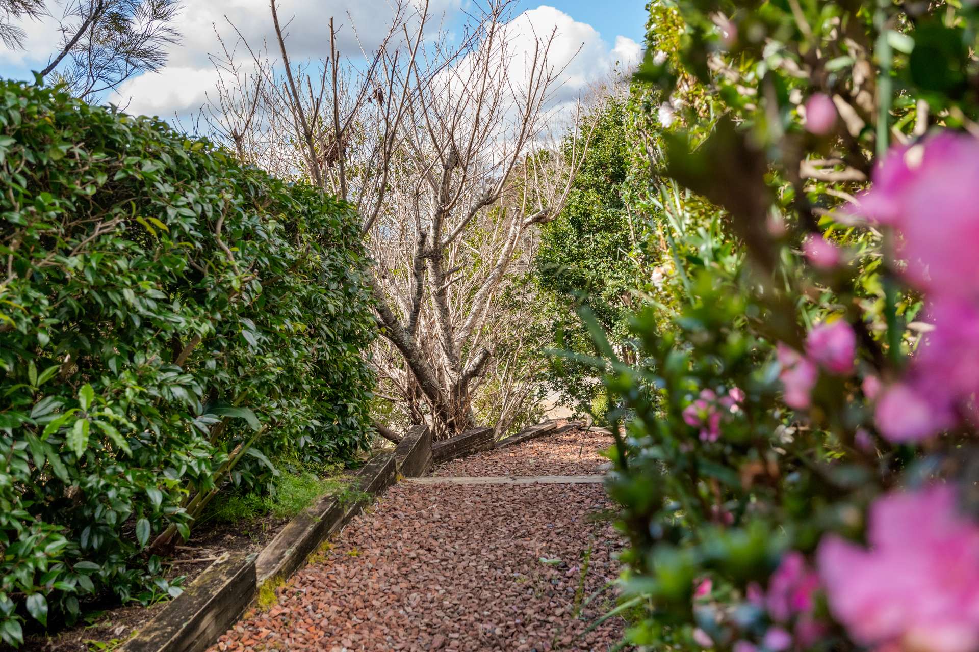 17 Sutton Street, Woodford, NSW 2778 AUS