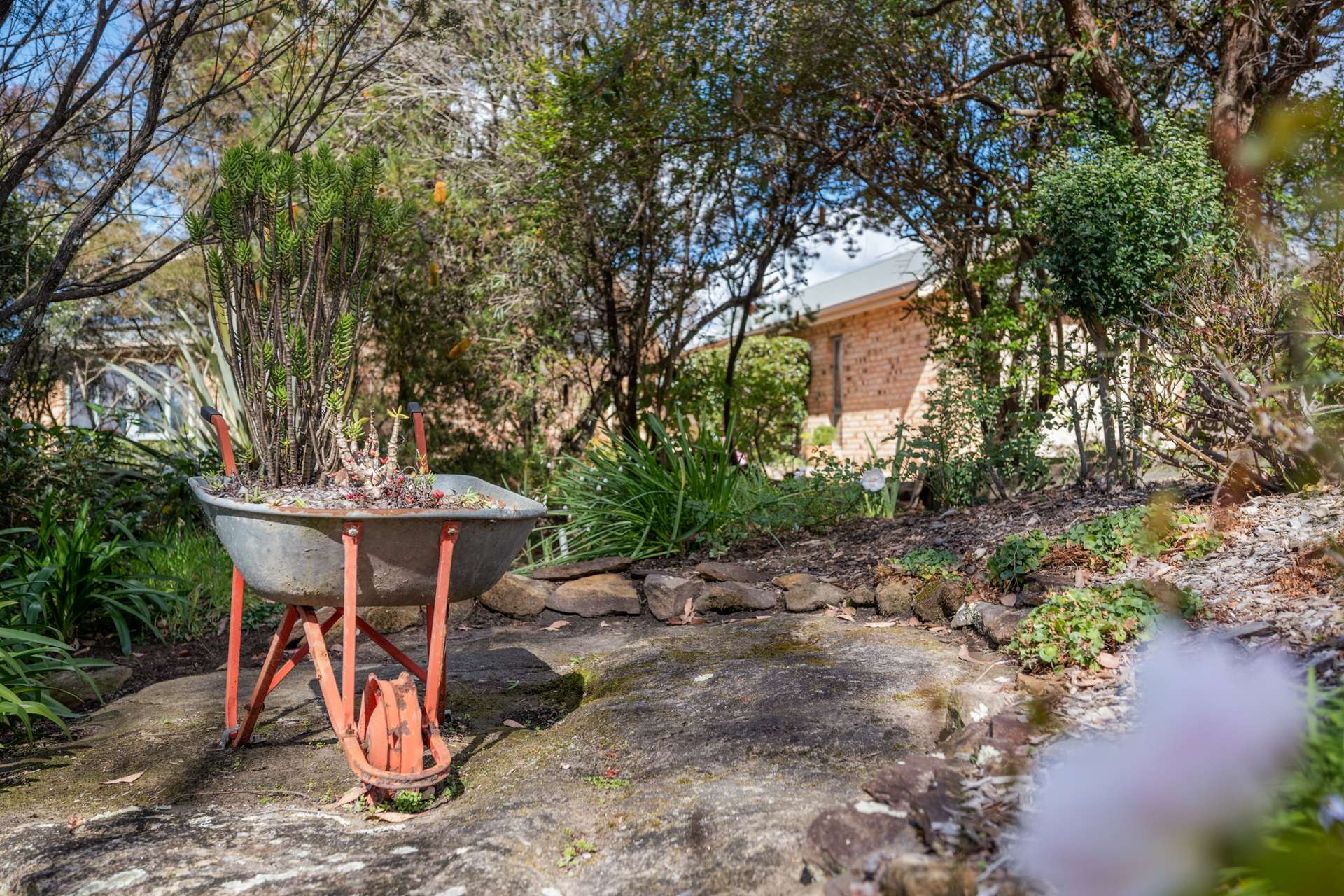 17 Sutton Street, Woodford, NSW 2778 AUS