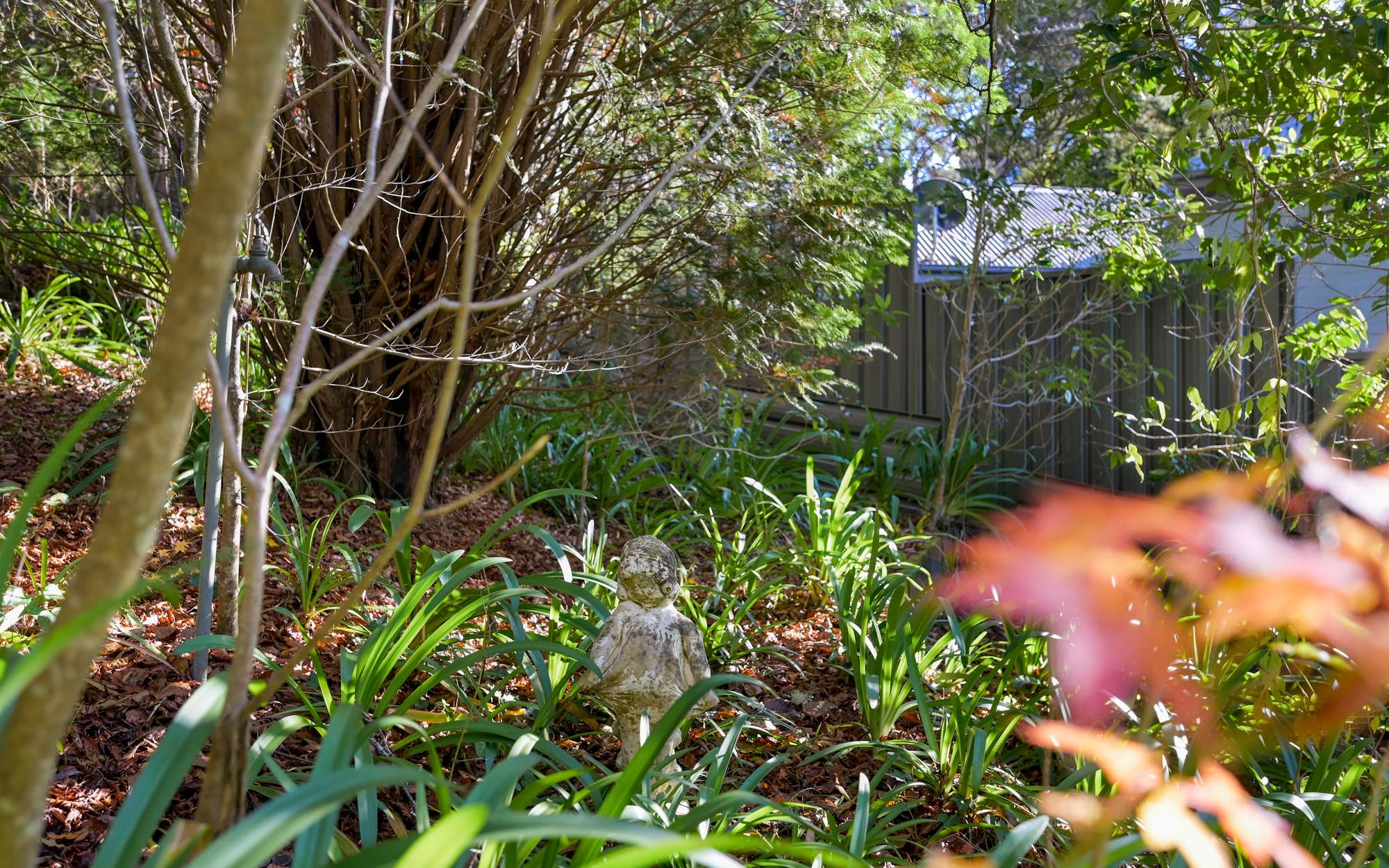 6 Rozelle Street, Wentworth Falls, NSW 2782 AUS