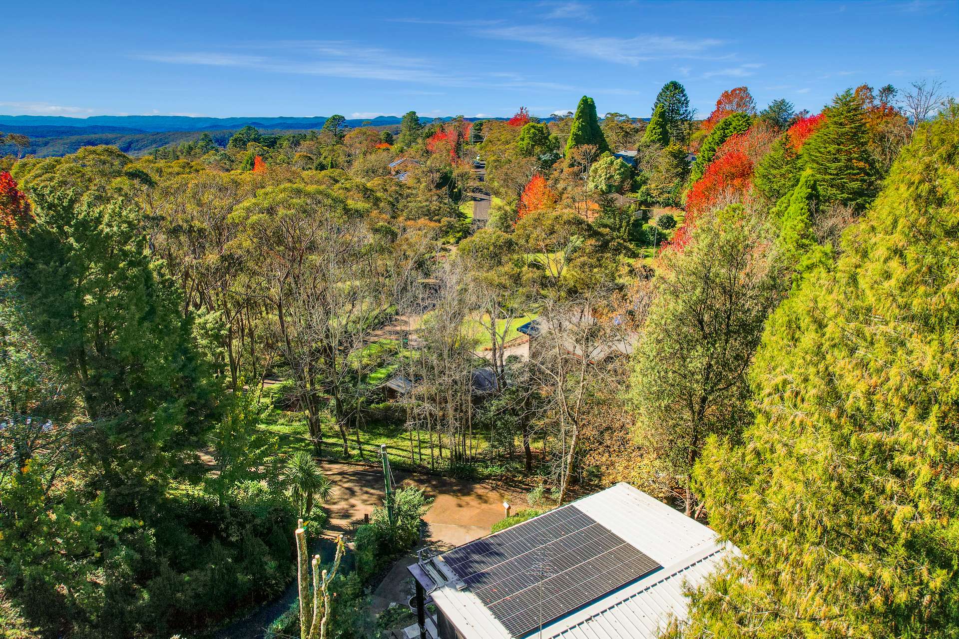 6 Rozelle Street, Wentworth Falls, NSW 2782 AUS