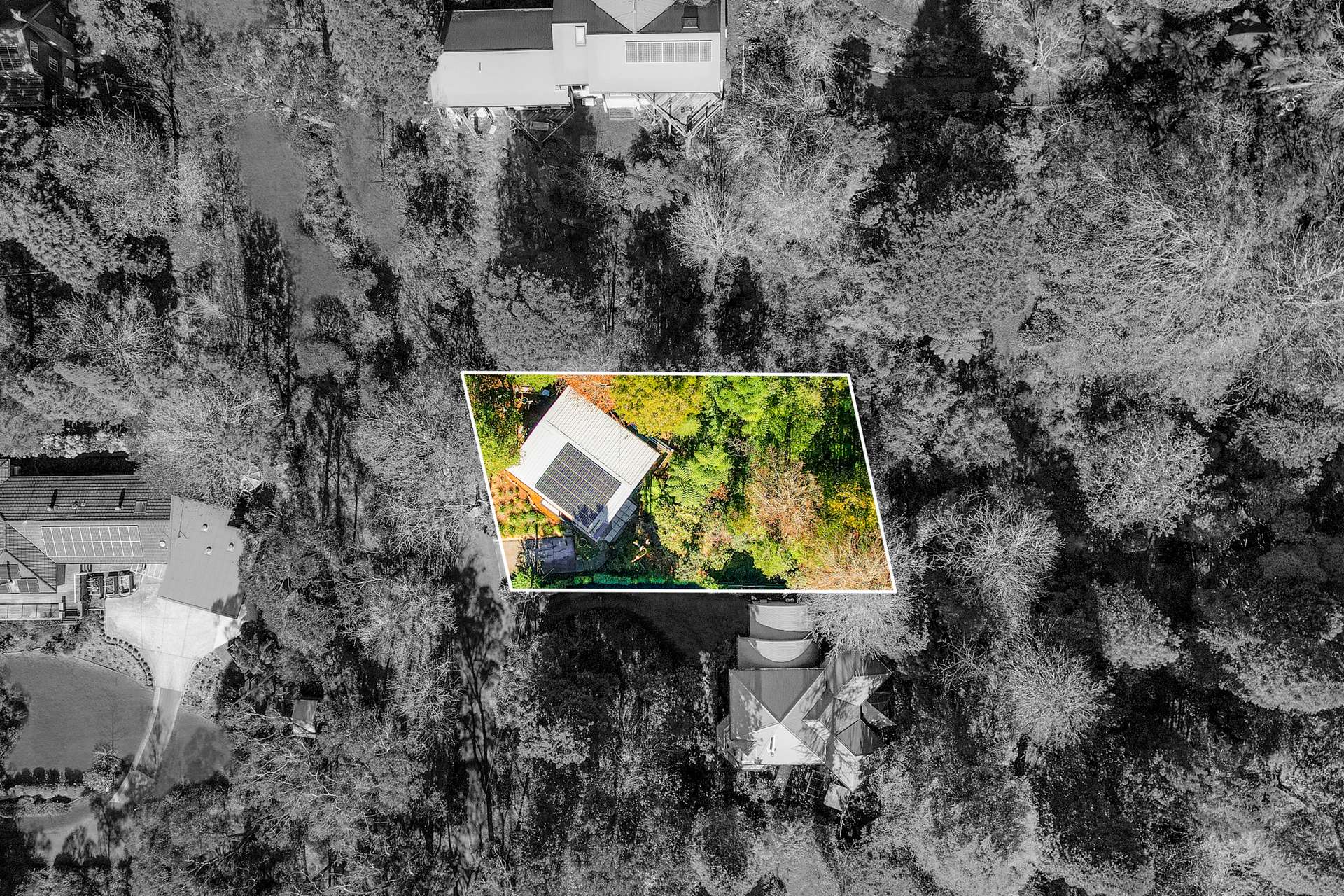 6 Rozelle Street, Wentworth Falls, NSW 2782 AUS