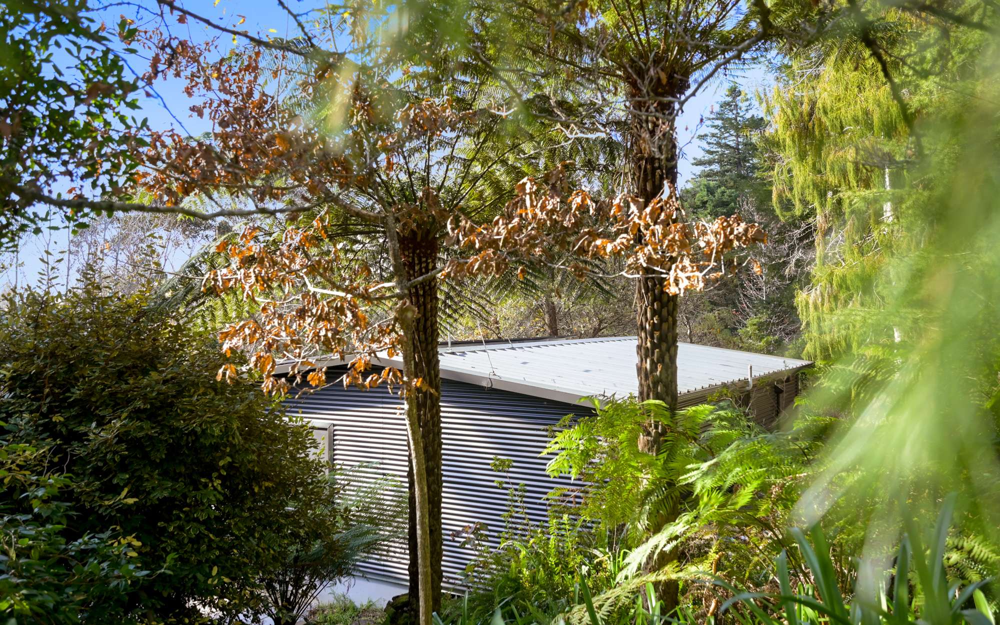 6 Rozelle Street, Wentworth Falls, NSW 2782 AUS