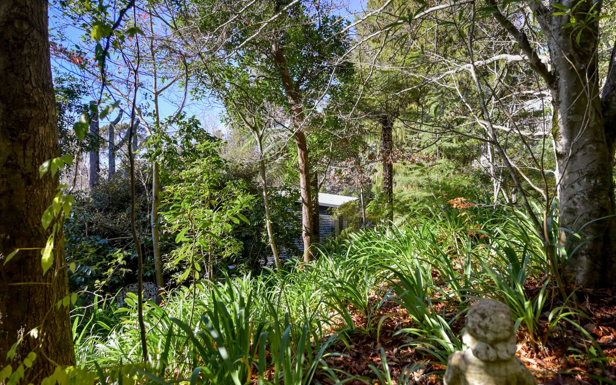 6 Rozelle Street, Wentworth Falls, NSW 2782 AUS