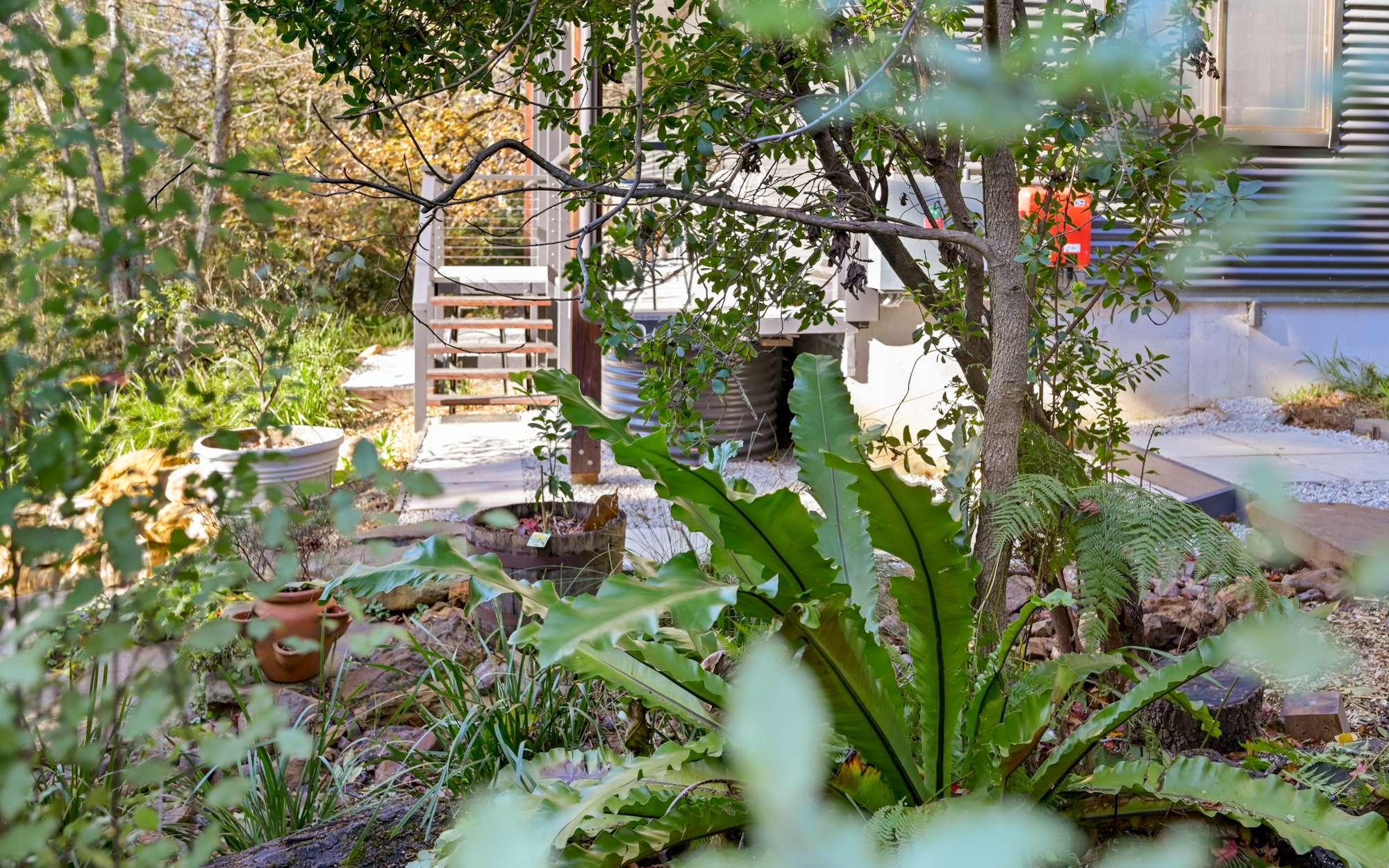 6 Rozelle Street, Wentworth Falls, NSW 2782 AUS