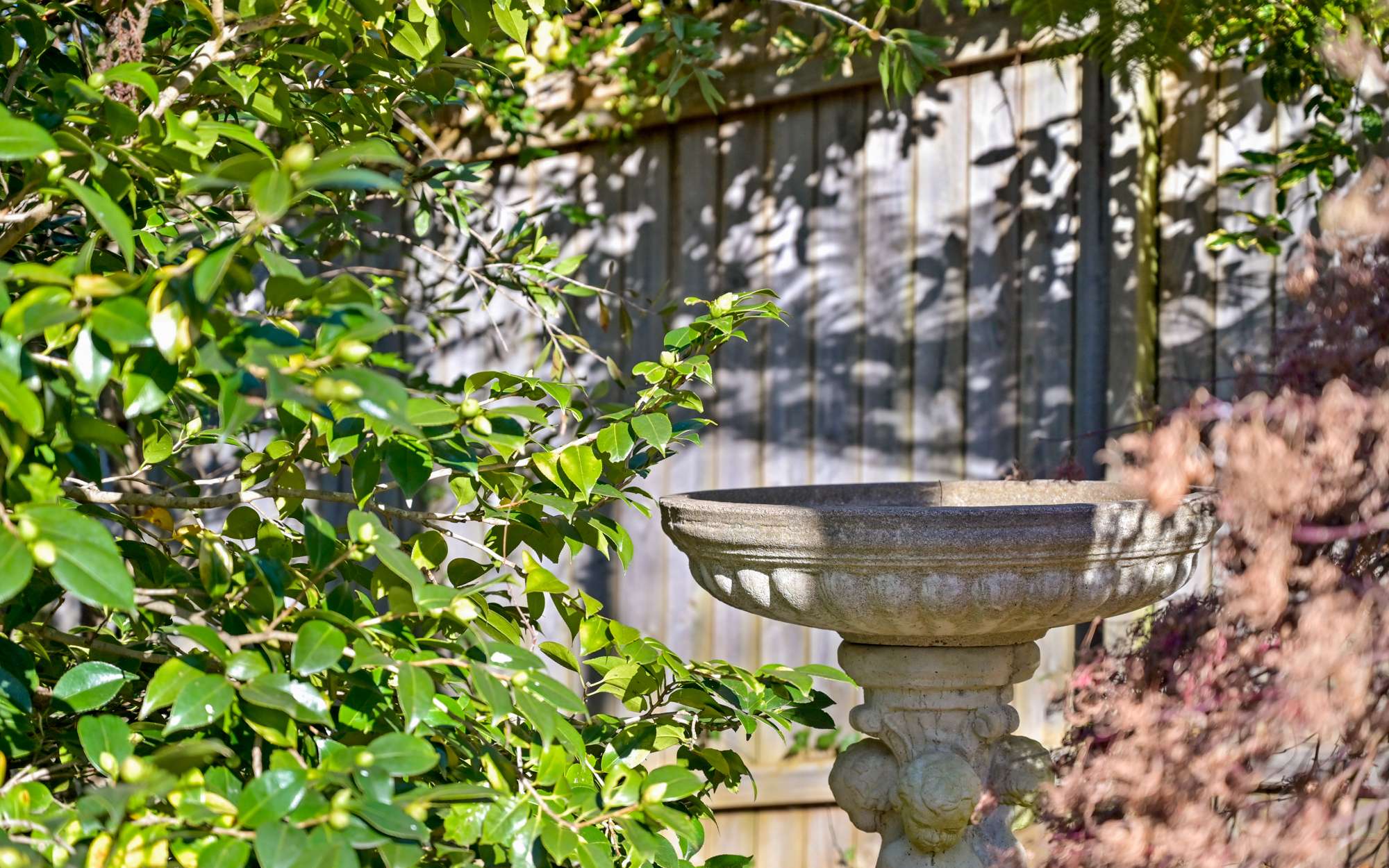 49 Darley Street, Katoomba, NSW 2780 AUS