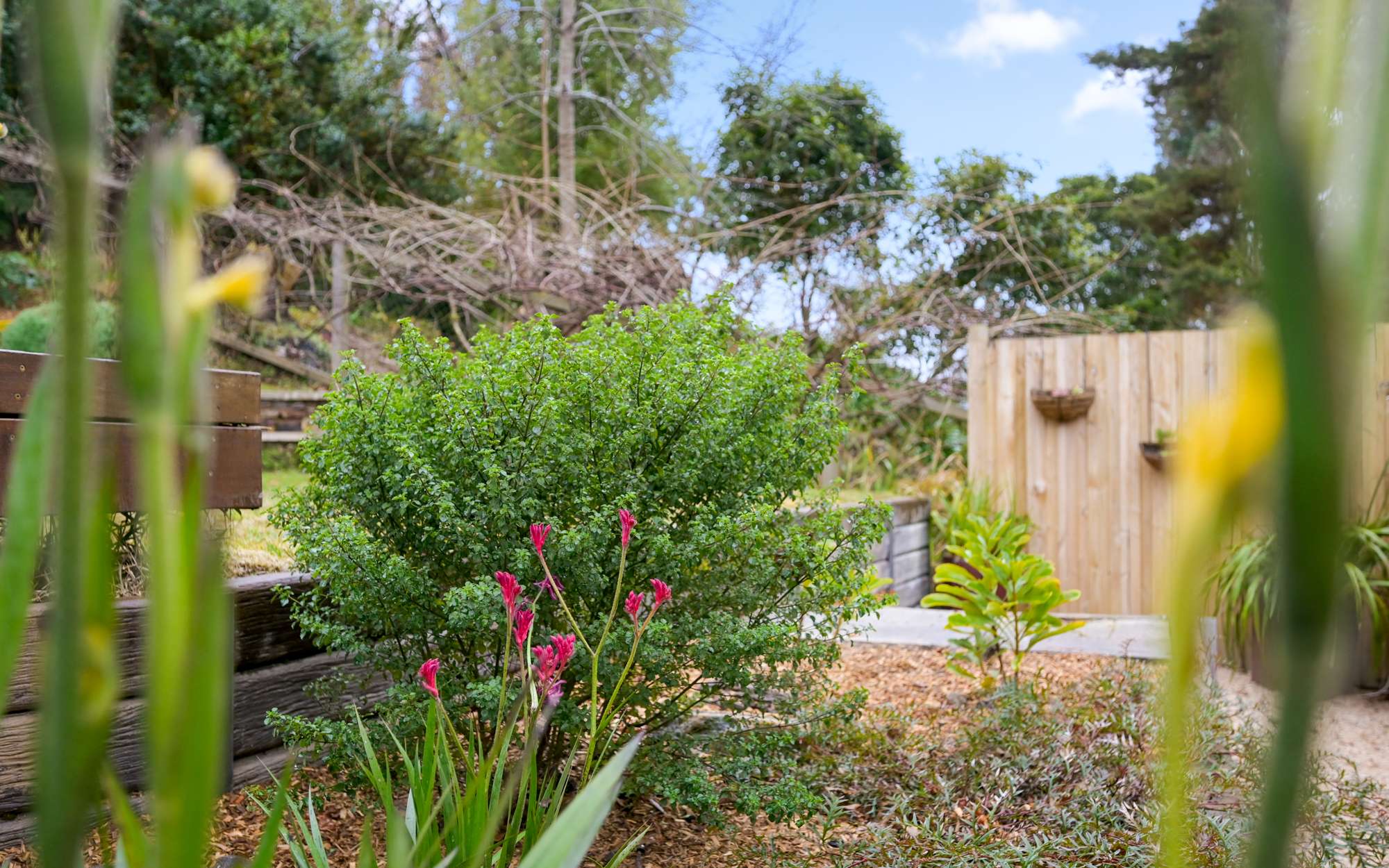 39 Britain Street, Leura, NSW 2780 AUS