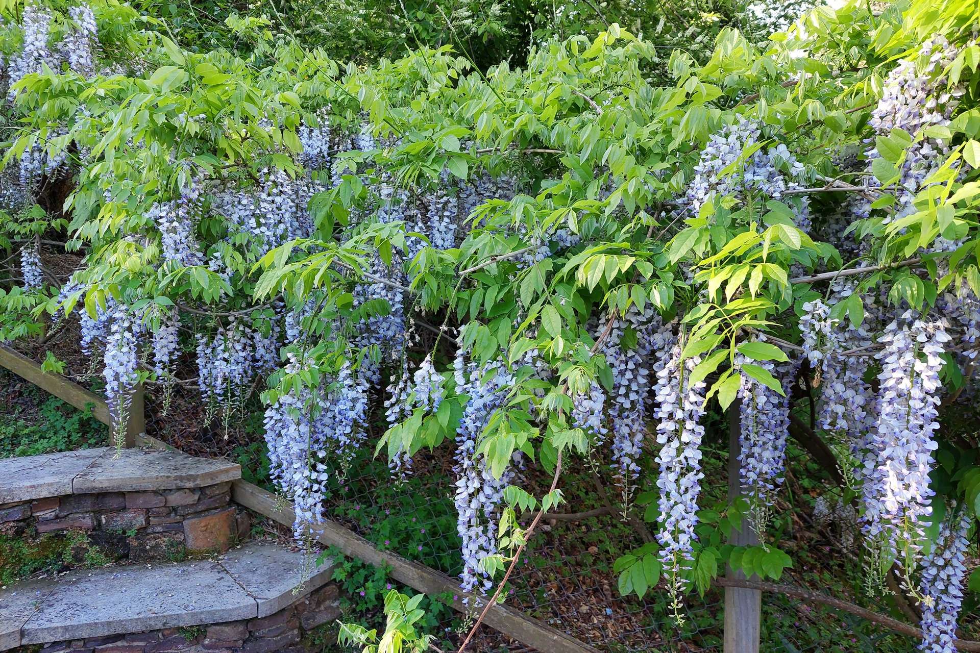 39 Britain Street, Leura, NSW 2780 AUS