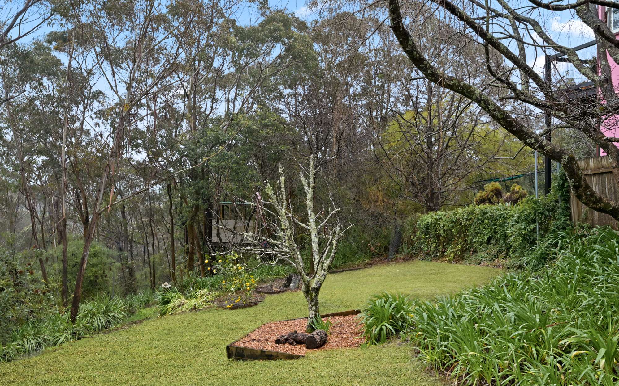 31 Genevieve Road, Bullaburra, NSW 2784 AUS