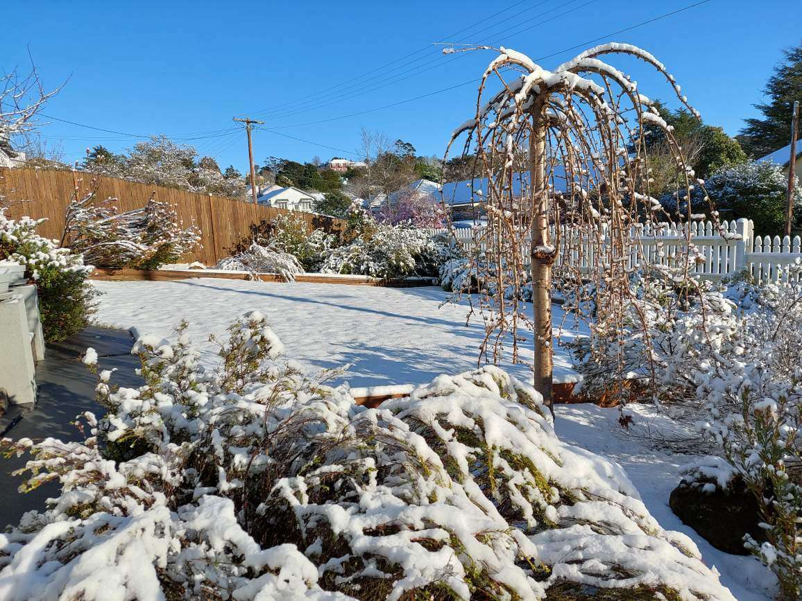 41 Lett Street, Katoomba, NSW 2780 AUS