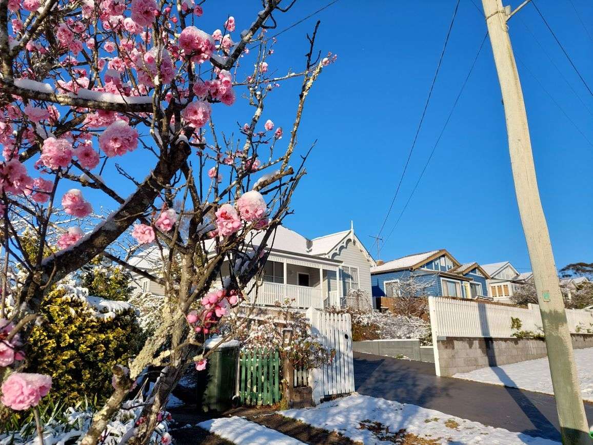 41 Lett Street, Katoomba, NSW 2780 AUS