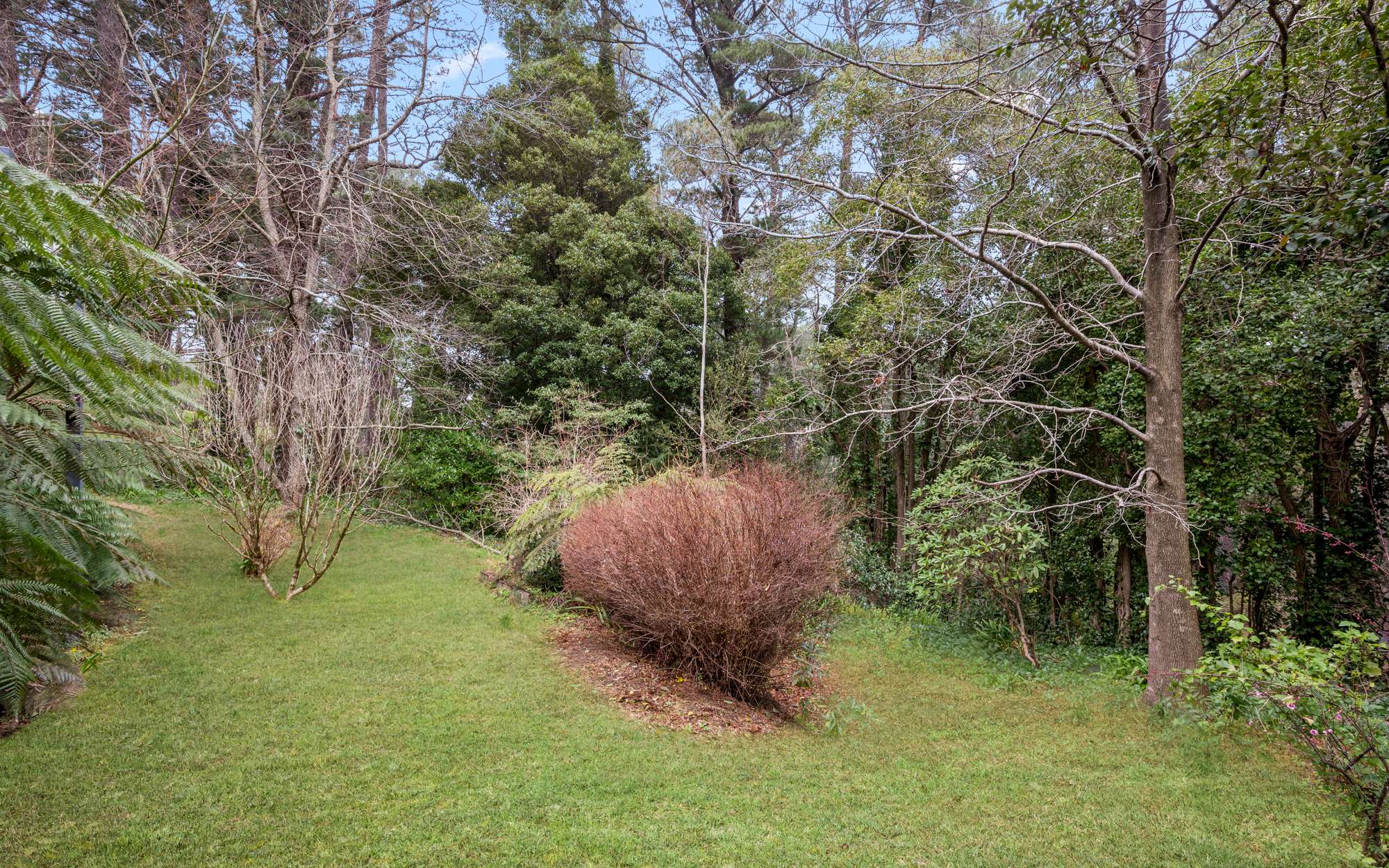 7 The Avenue, Wentworth Falls, NSW 2782 AUS