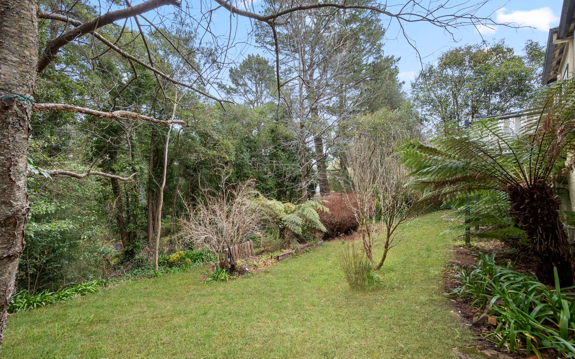 7 The Avenue, Wentworth Falls, NSW 2782 AUS