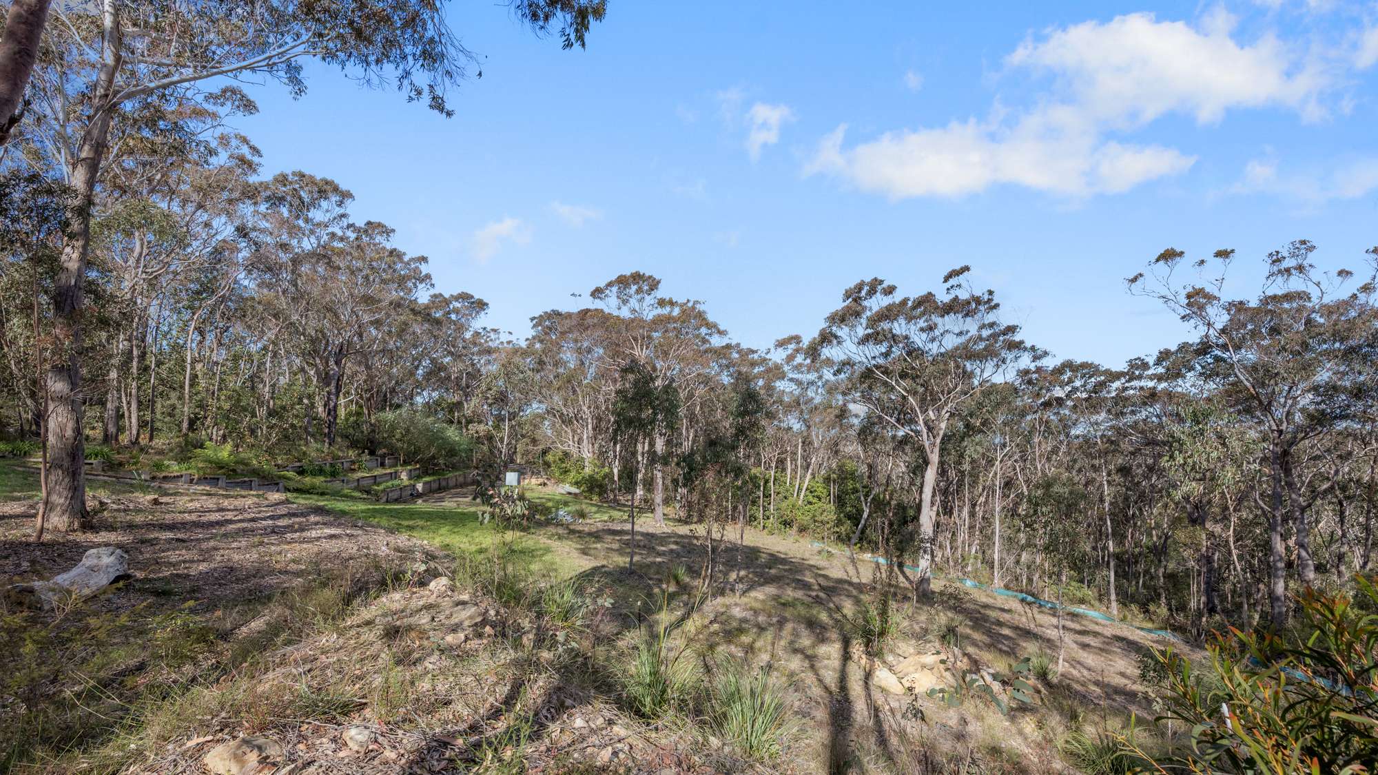 79 Ridge Street, Lawson, NSW 2783 AUS