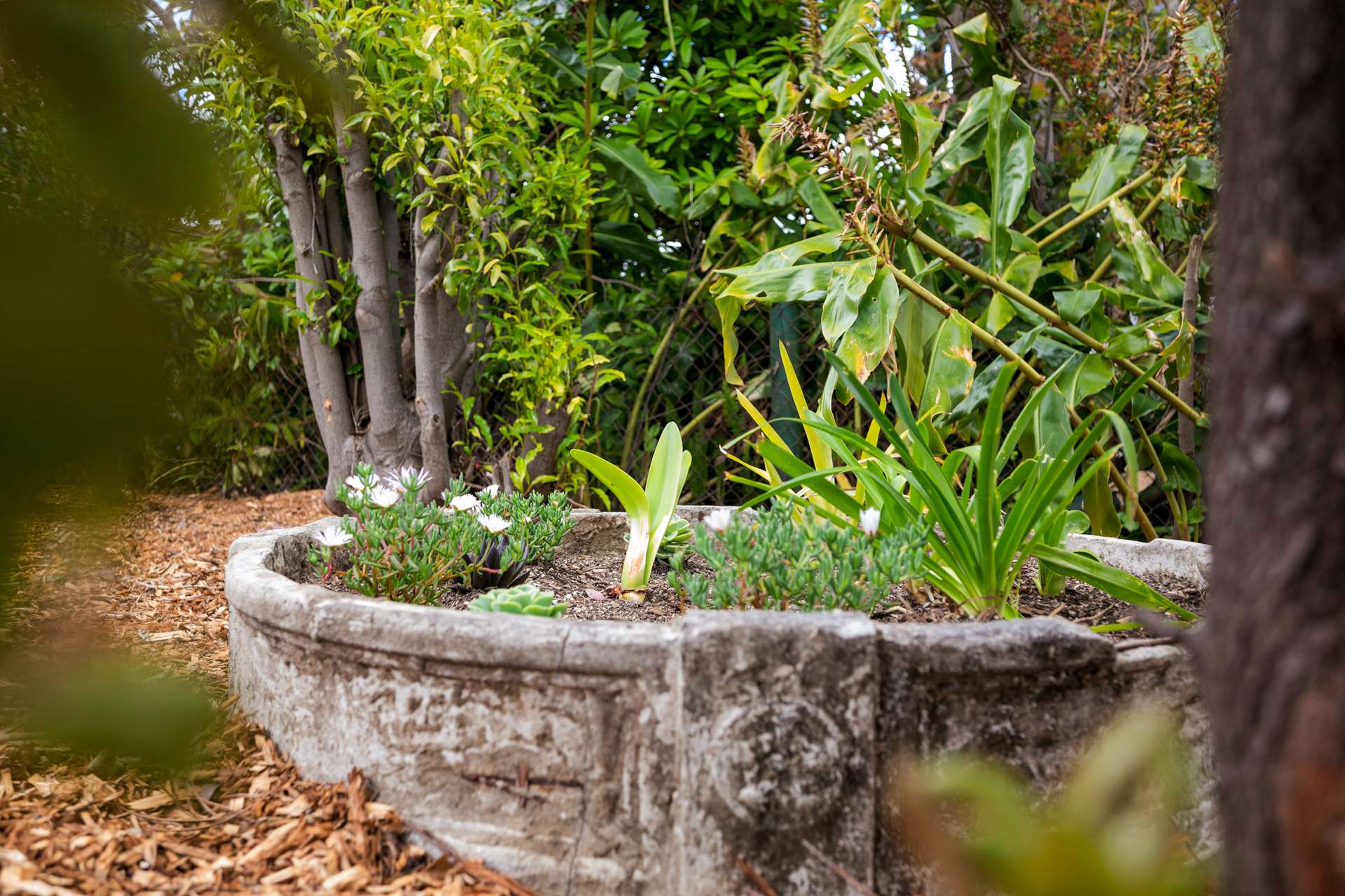 358 Great Western Highway, Bullaburra, NSW 2784 AUS