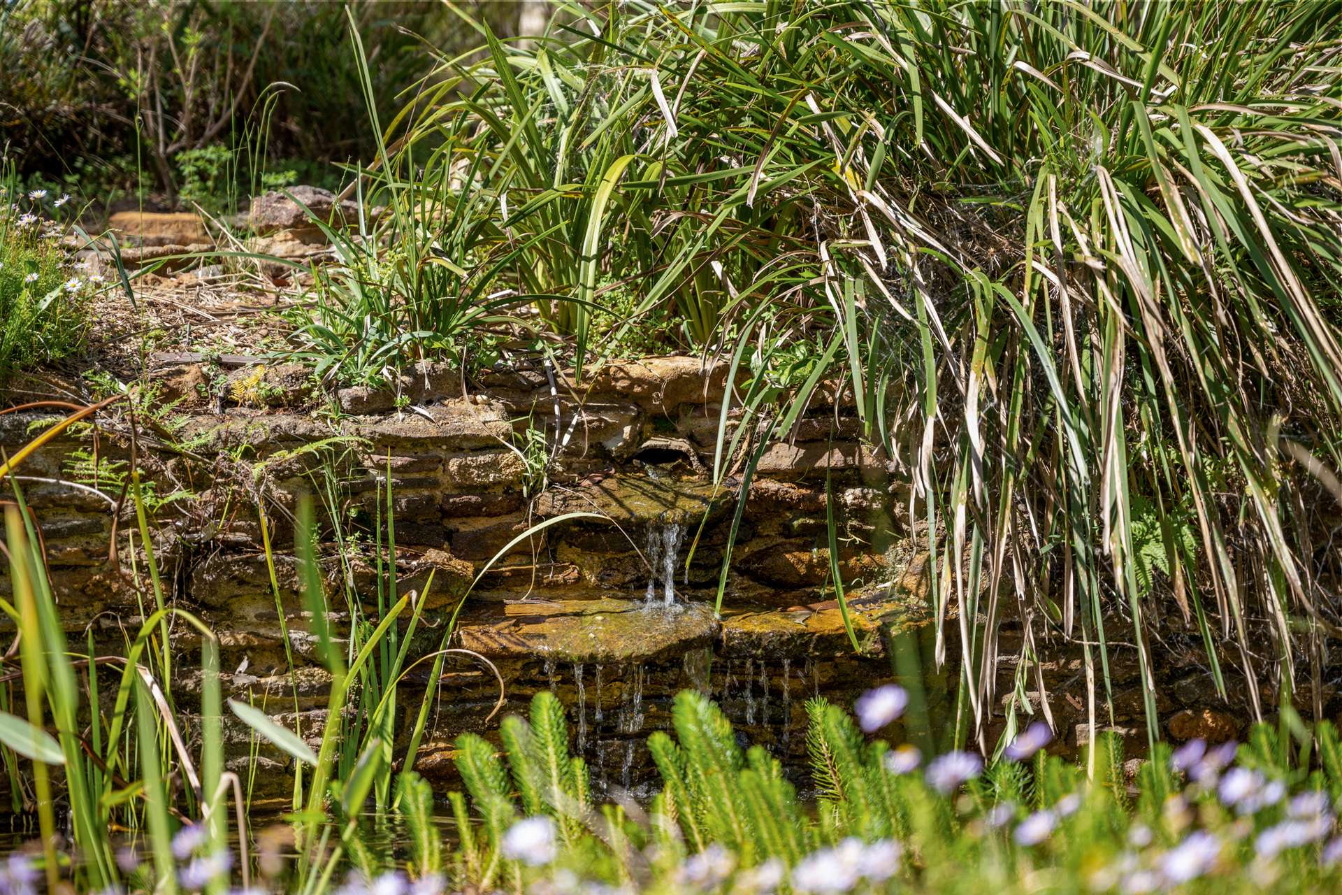 33 Lee Street, Lawson, NSW 2783 AUS