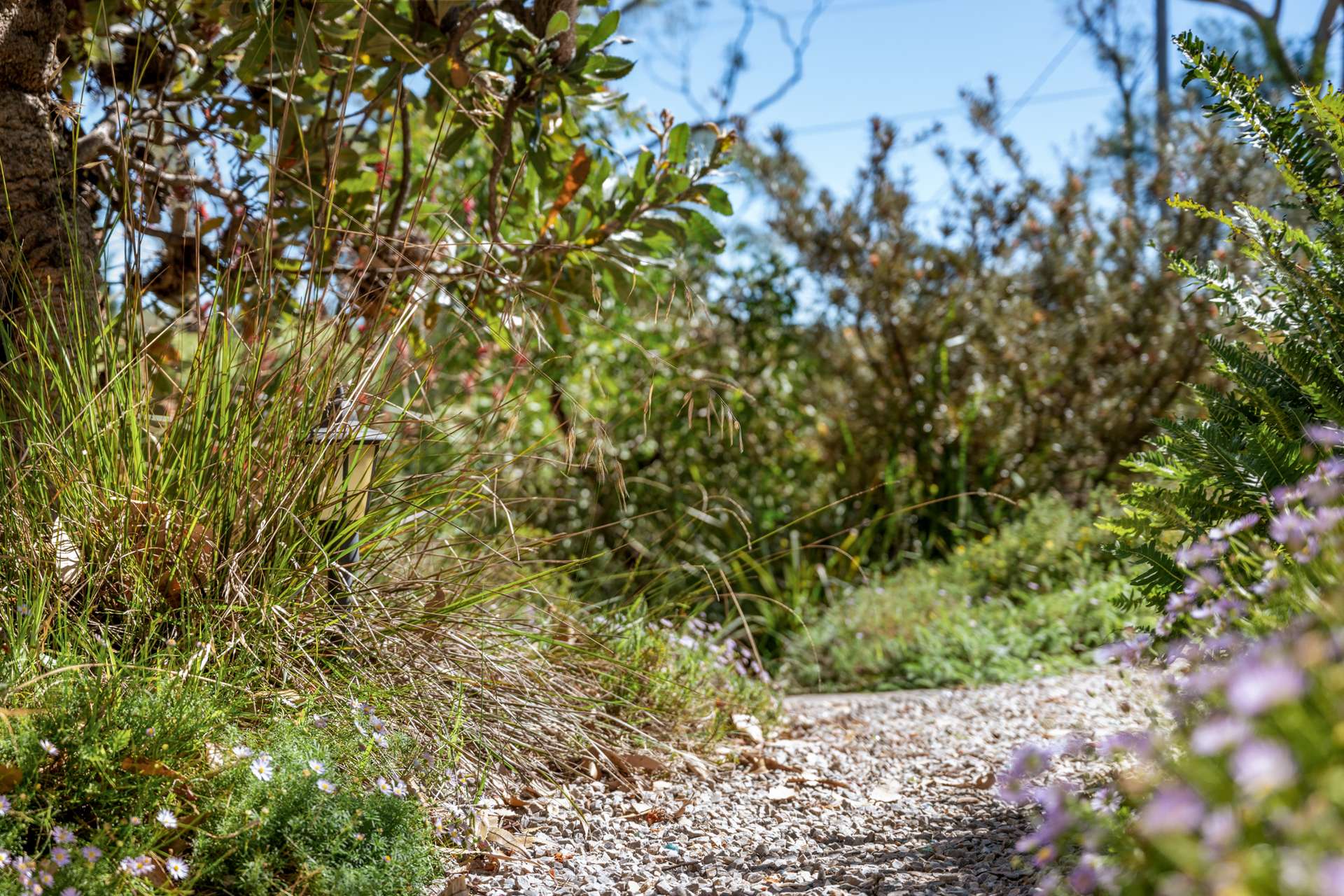 33 Lee Street, Lawson, NSW 2783 AUS