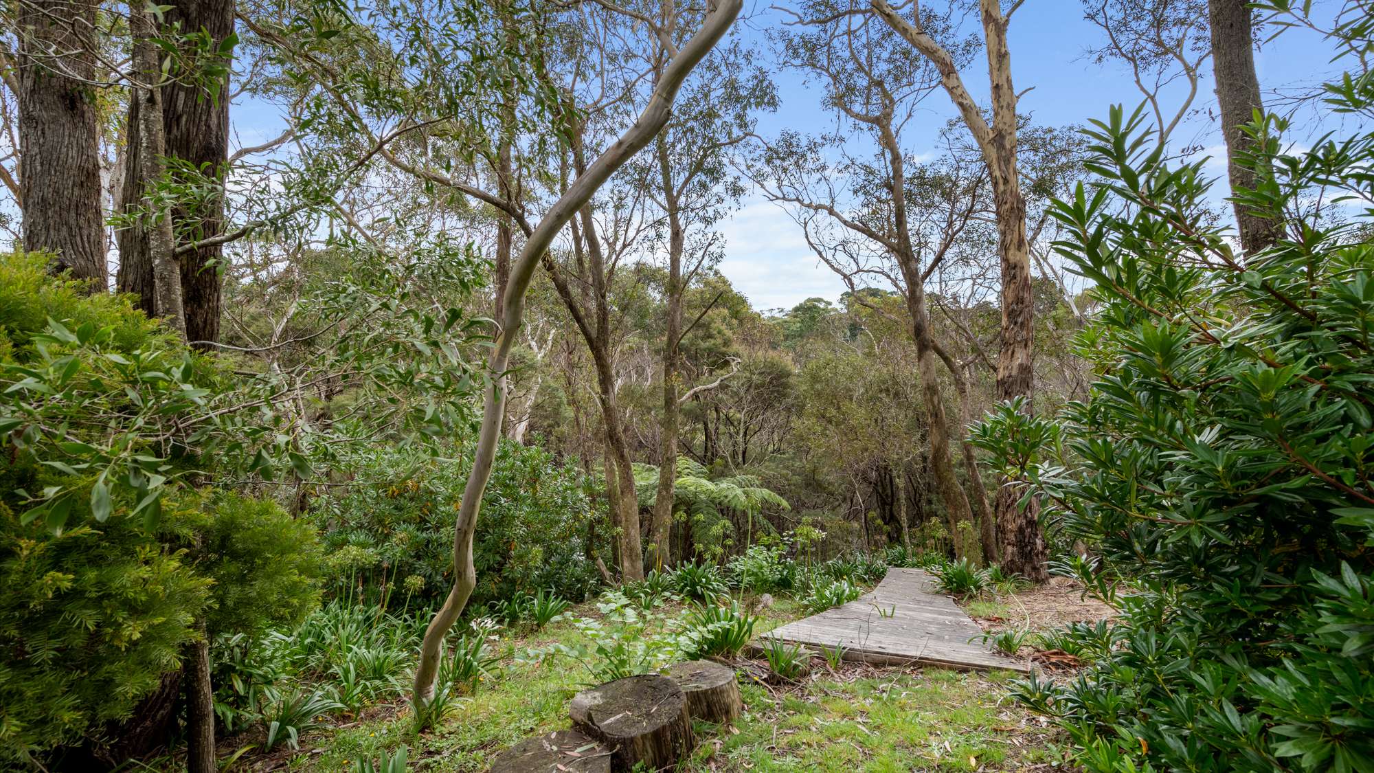 58 Waragil Street, Blackheath, NSW 2785 AUS