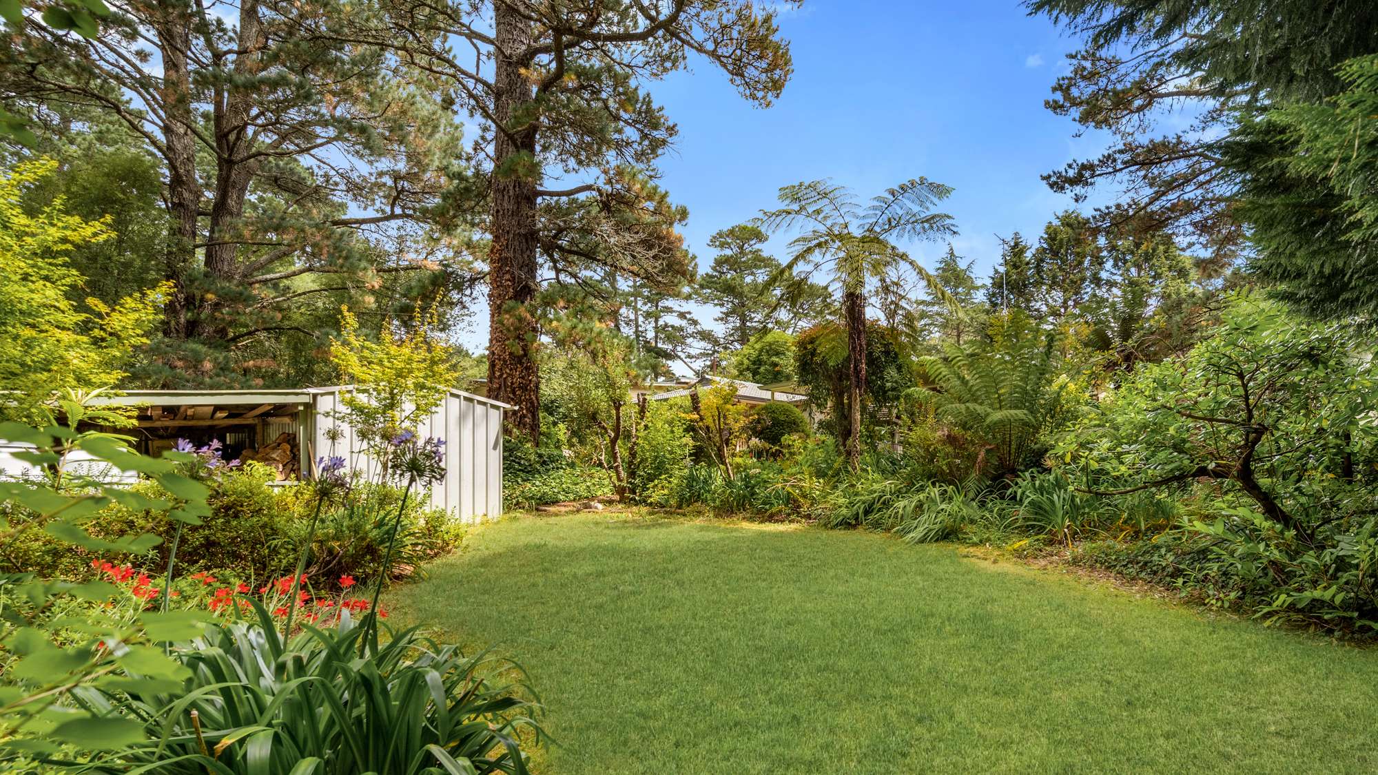 12 Wilson Street, Wentworth Falls, NSW 2782 AUS