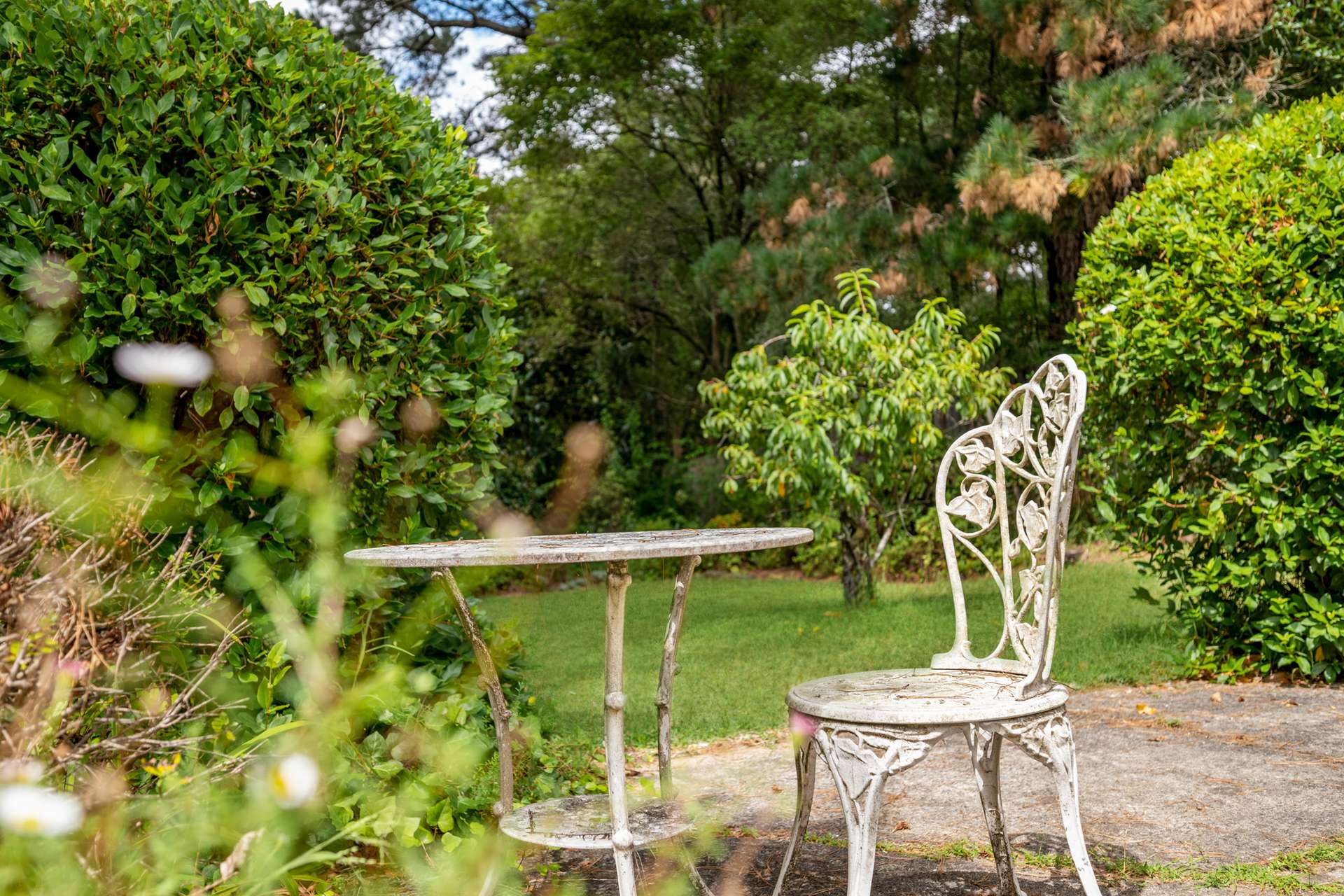 12 Wilson Street, Wentworth Falls, NSW 2782 AUS