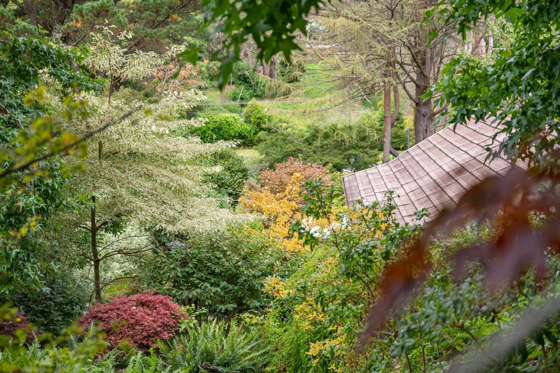 109 Twynam Street, Katoomba, NSW 2780 AUS