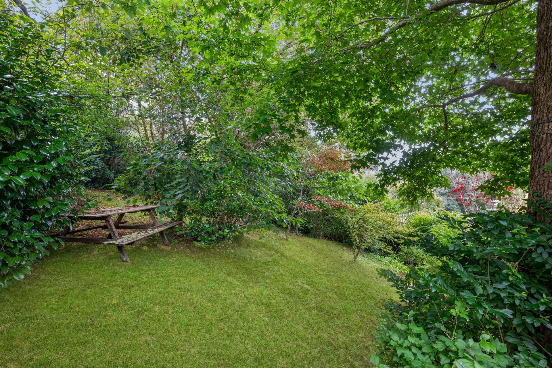 109 Twynam Street, Katoomba, NSW 2780 AUS