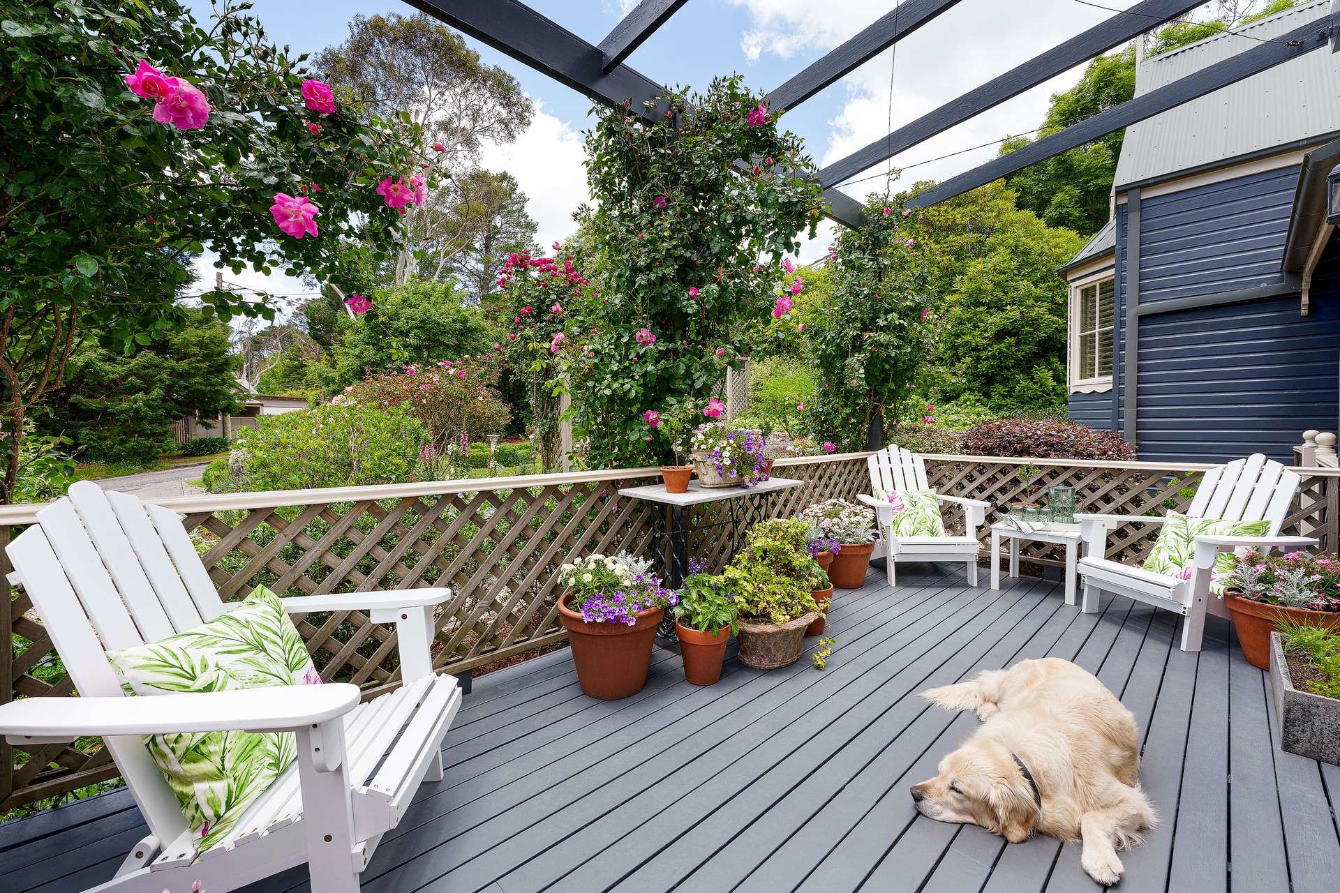 5 Isabel Street, Leura, NSW 2780 AUS