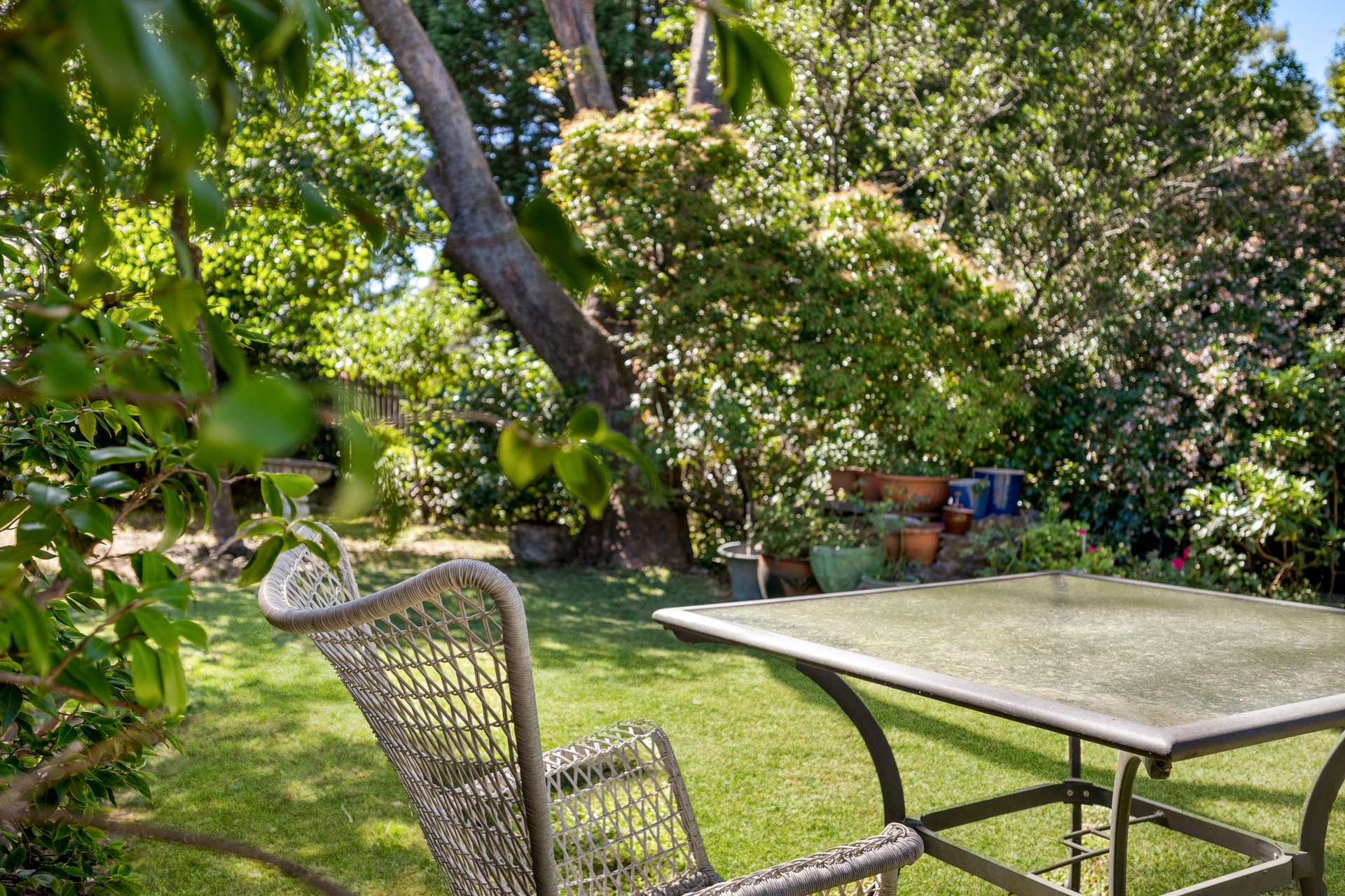 8 Maple Grove, Wentworth Falls, NSW 2782 AUS