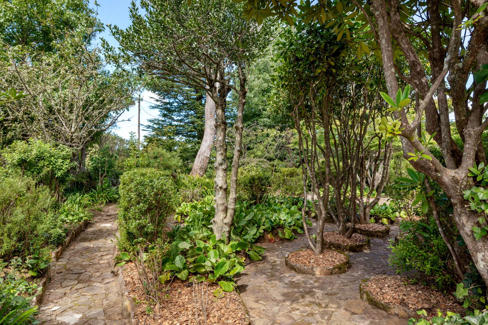 15 Buena Vista Avenue, Wentworth Falls, NSW 2782 AUS