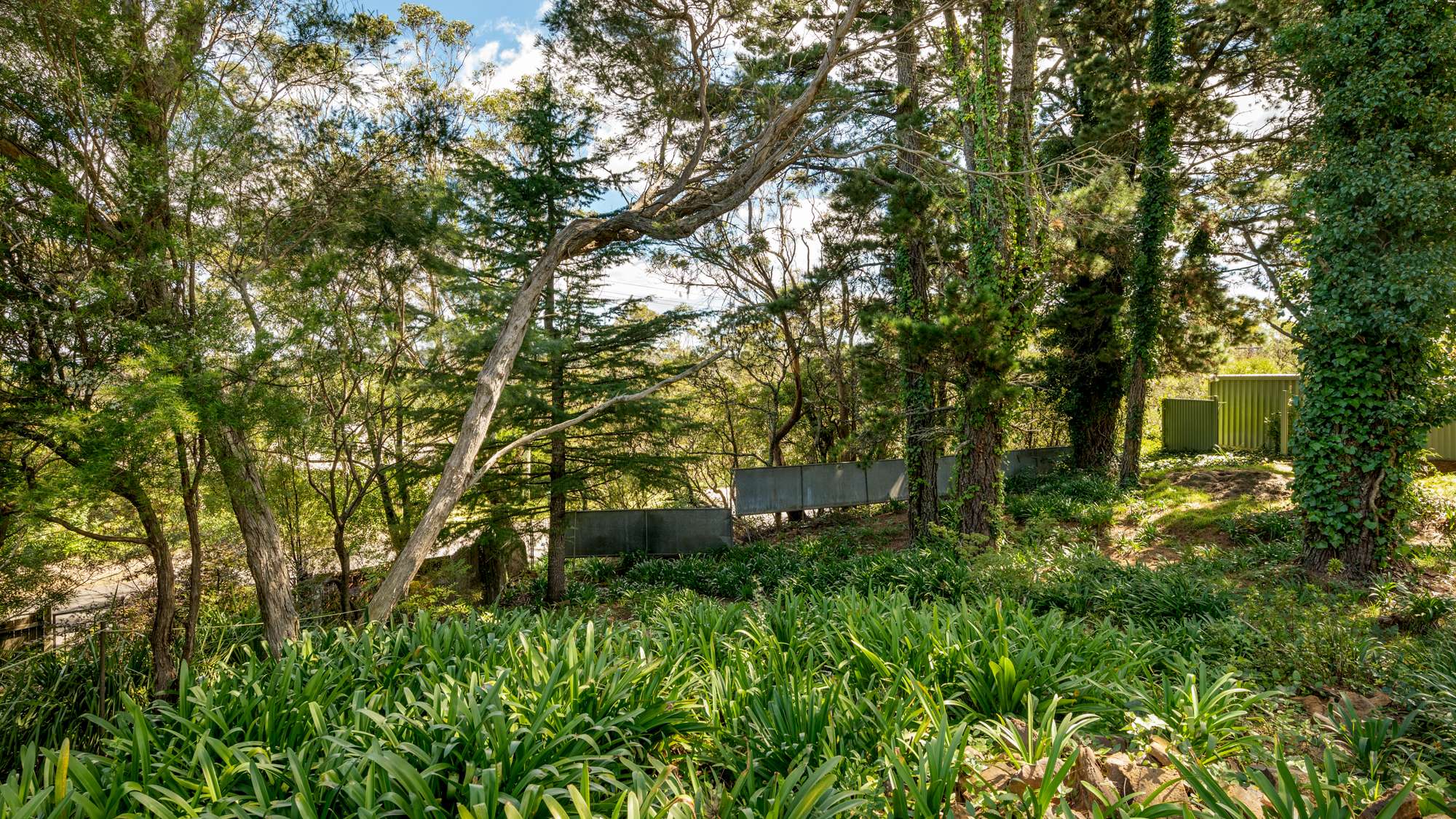 15 Buena Vista Avenue, Wentworth Falls, NSW 2782 AUS
