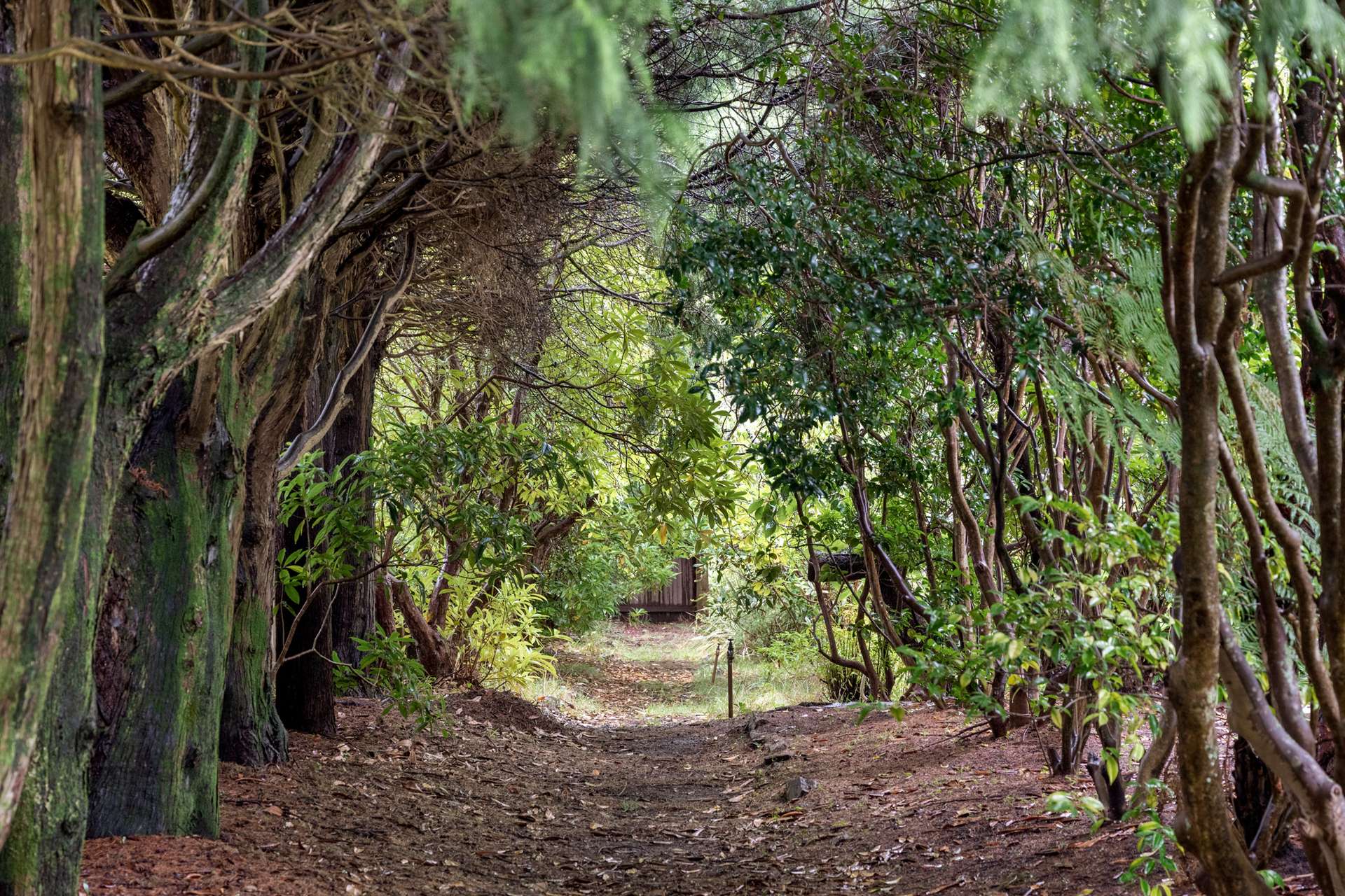 36 Armstrong Street, Wentworth Falls, NSW 2782 AUS