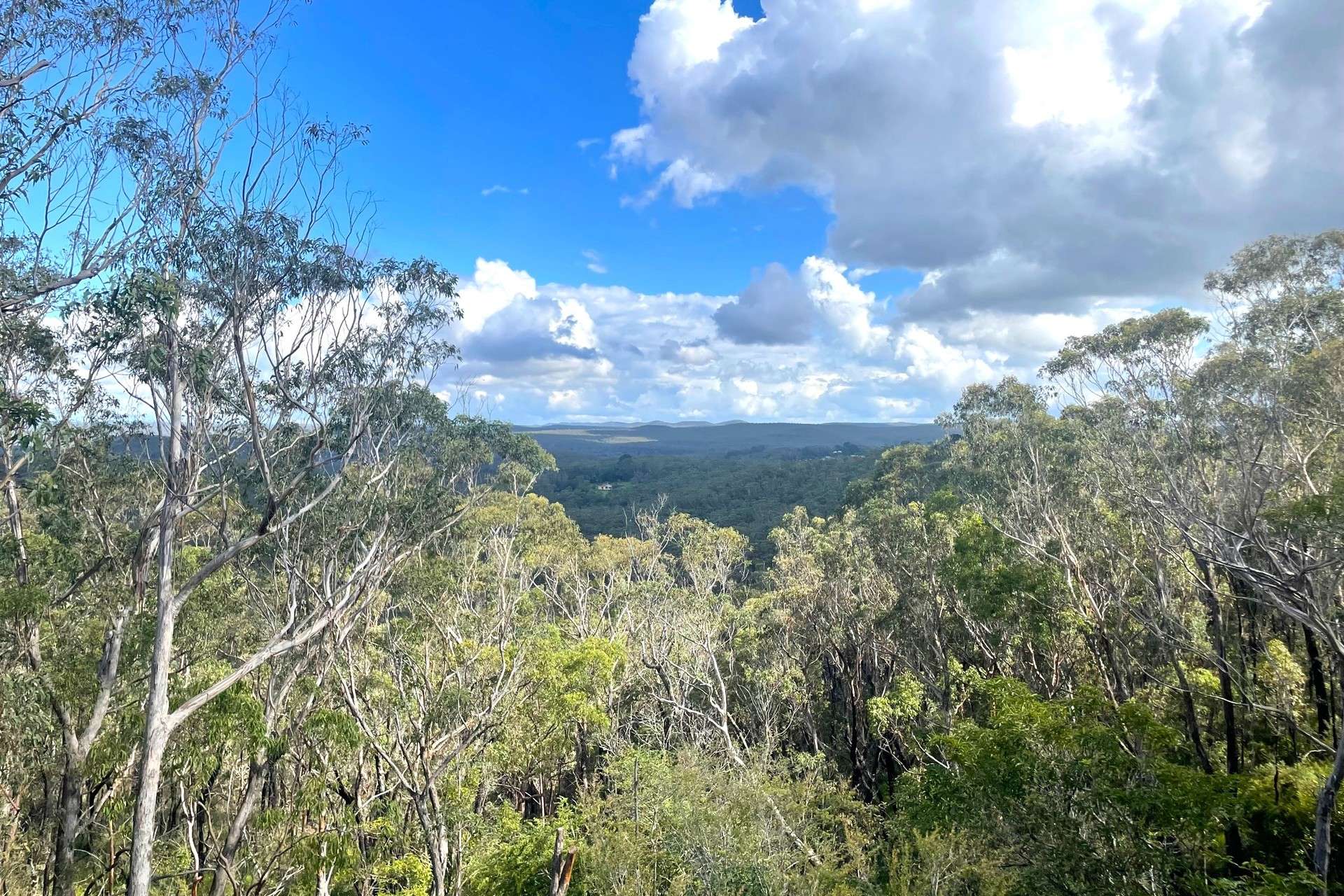12 Mona Road, Woodford, NSW 2778 AUS