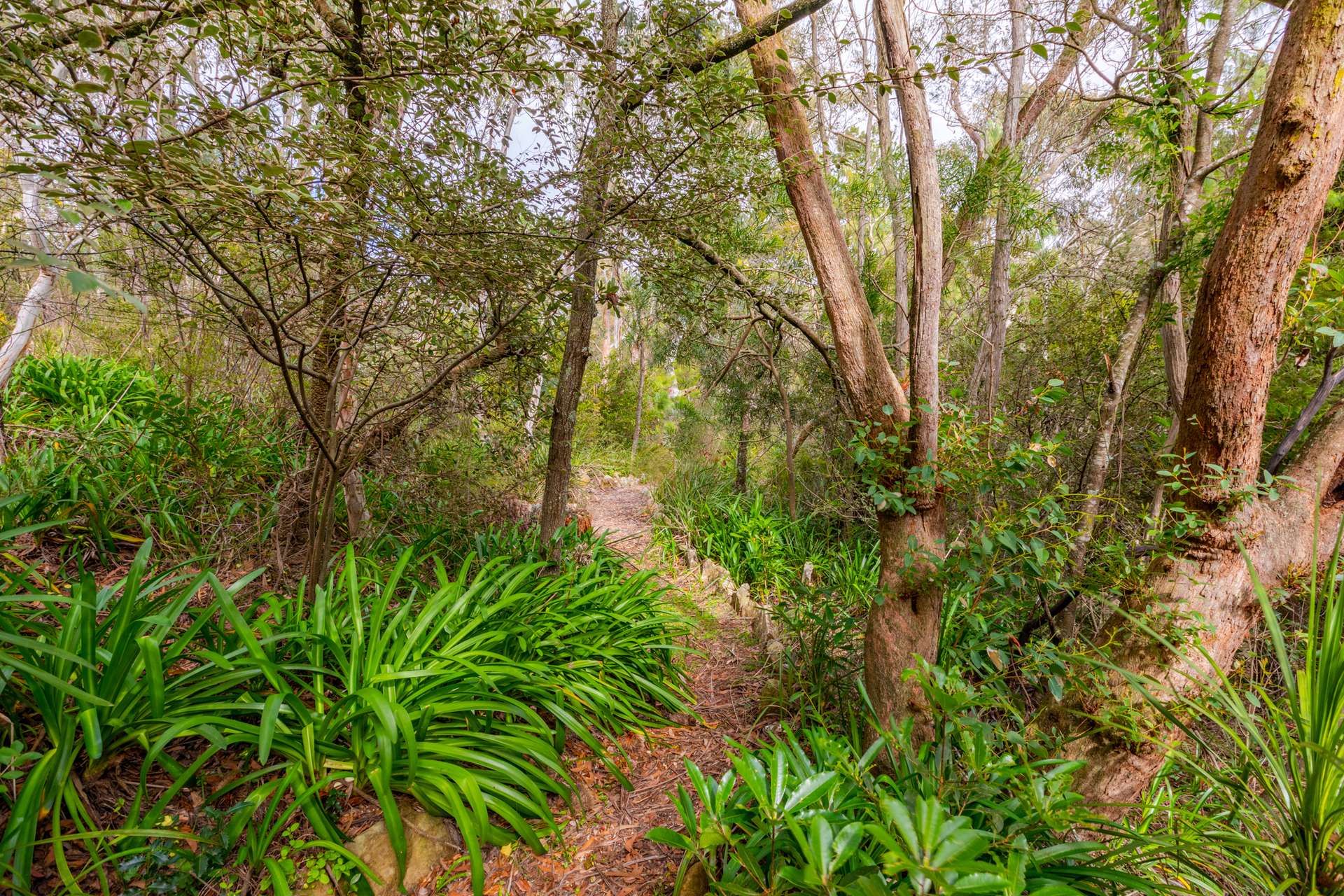 81 Mount Street, Leura, NSW 2780 AUS