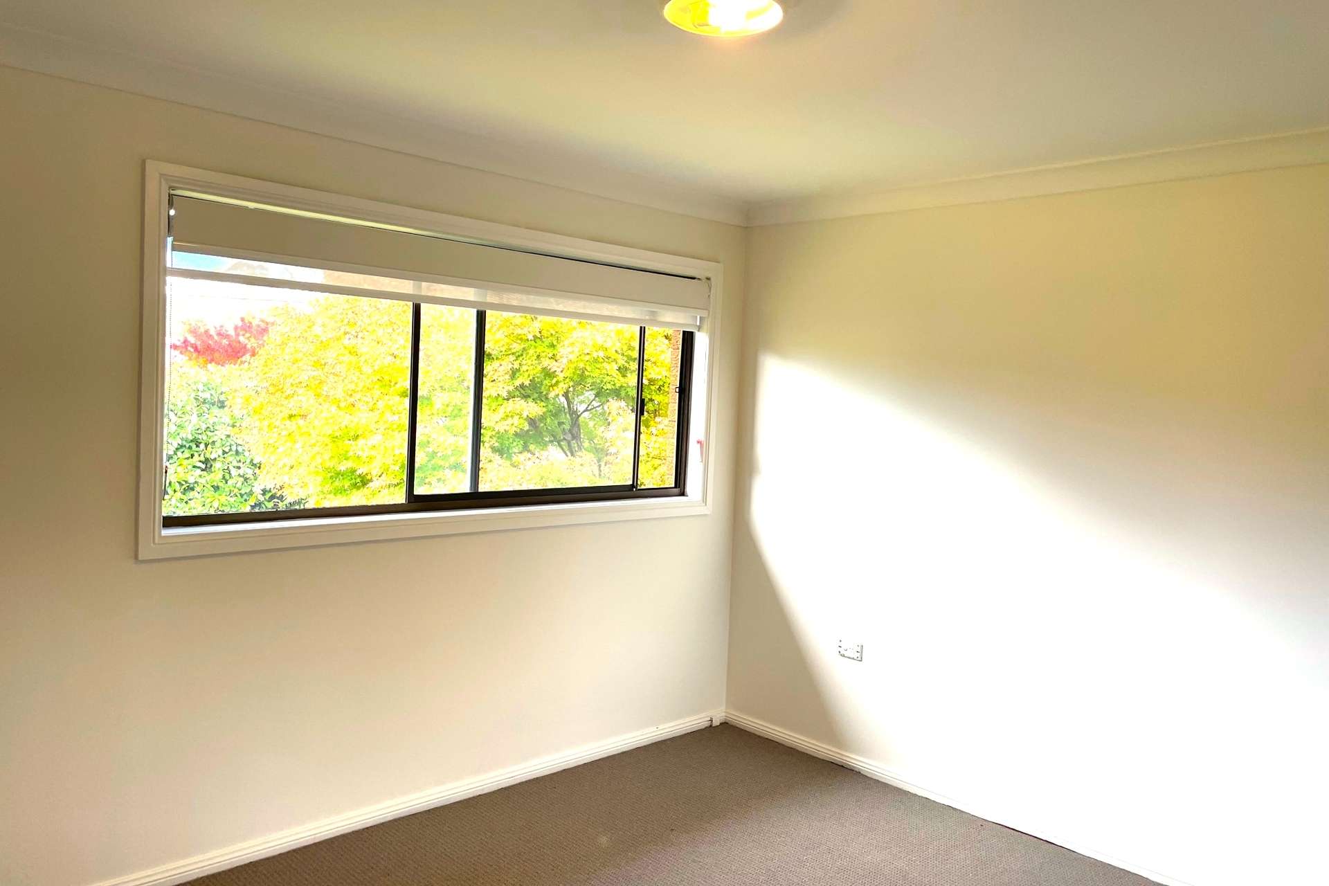 18 David Street, Wentworth Falls, NSW 2782 AUS