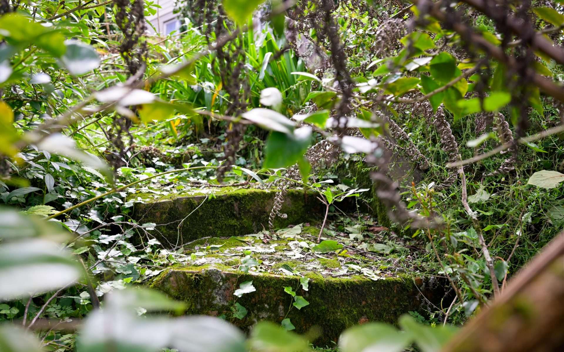 6 Sublime Point Road, Leura, NSW 2780 AUS