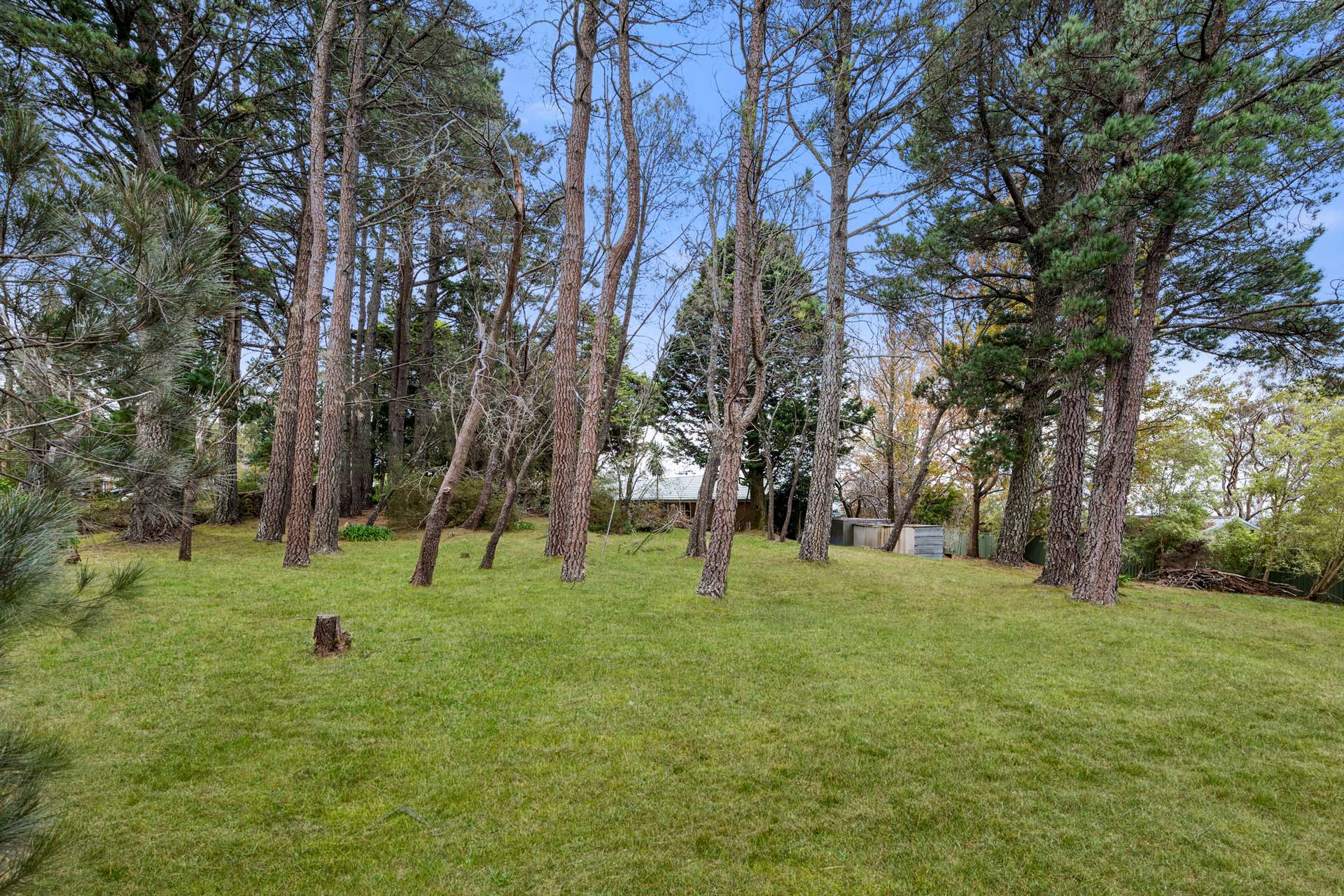 11 John Street, Wentworth Falls, NSW 2782 AUS