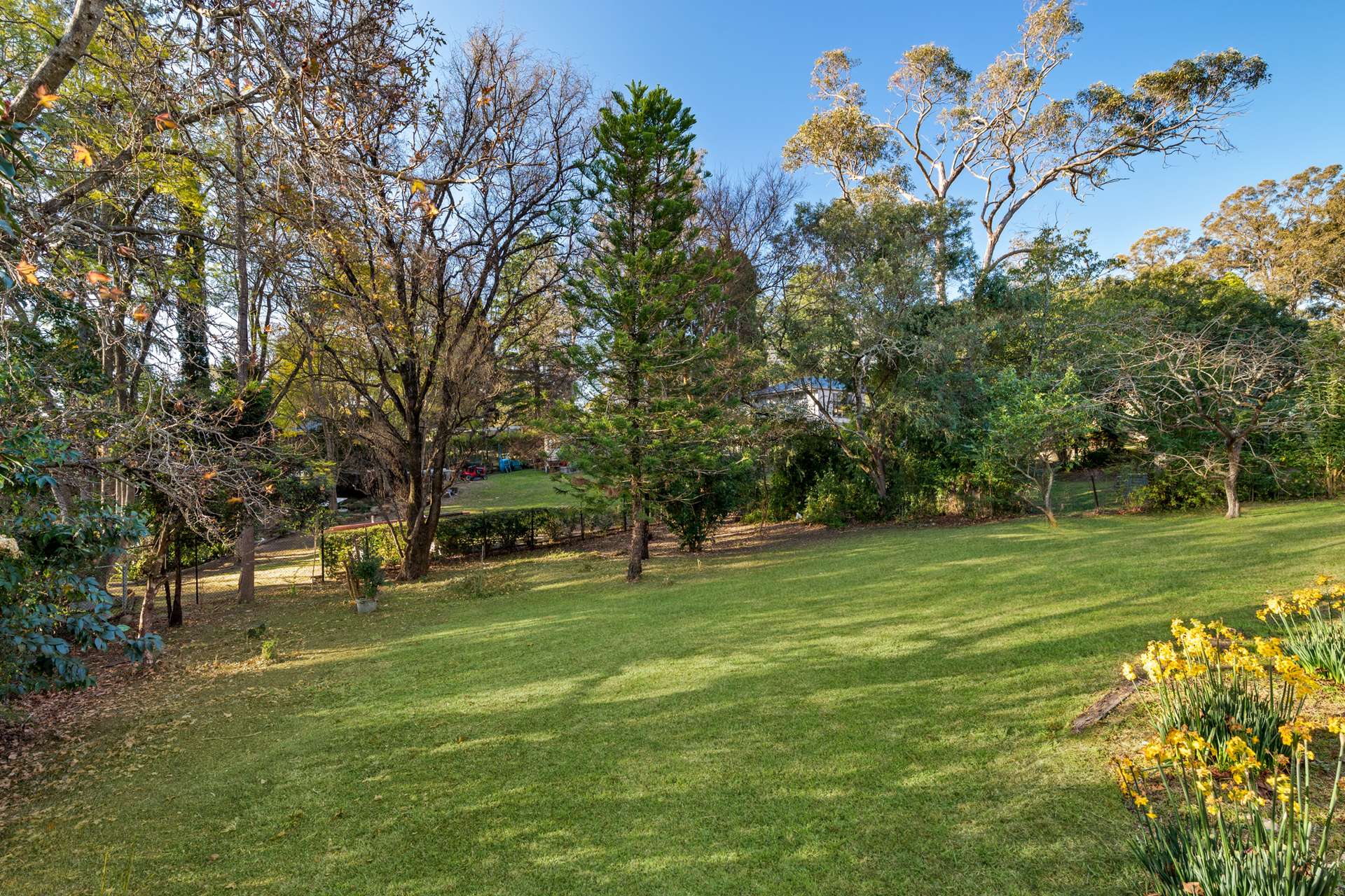 50 Boorea Street, Blaxland, NSW 2774 AUS