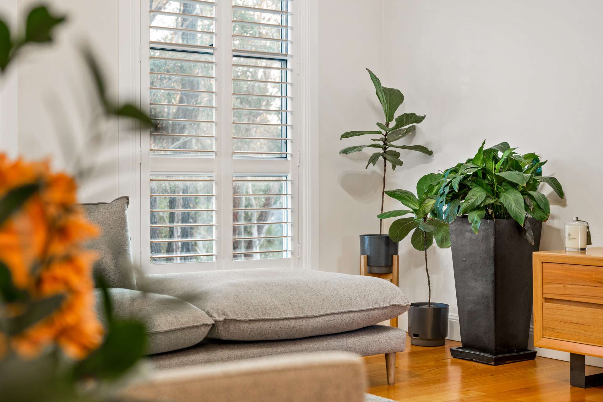 52 St Elmo Avenue, Blackheath, NSW 2785 AUS