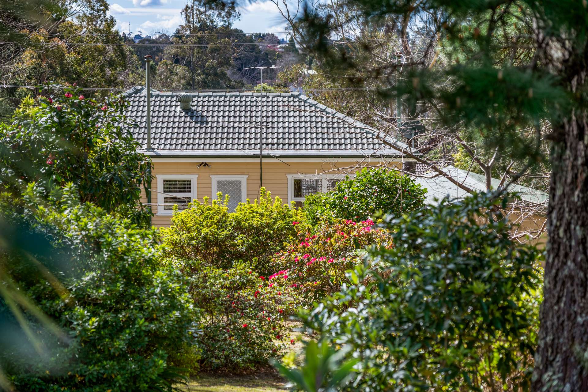 11 Raymond Road, Katoomba, NSW 2780 AUS