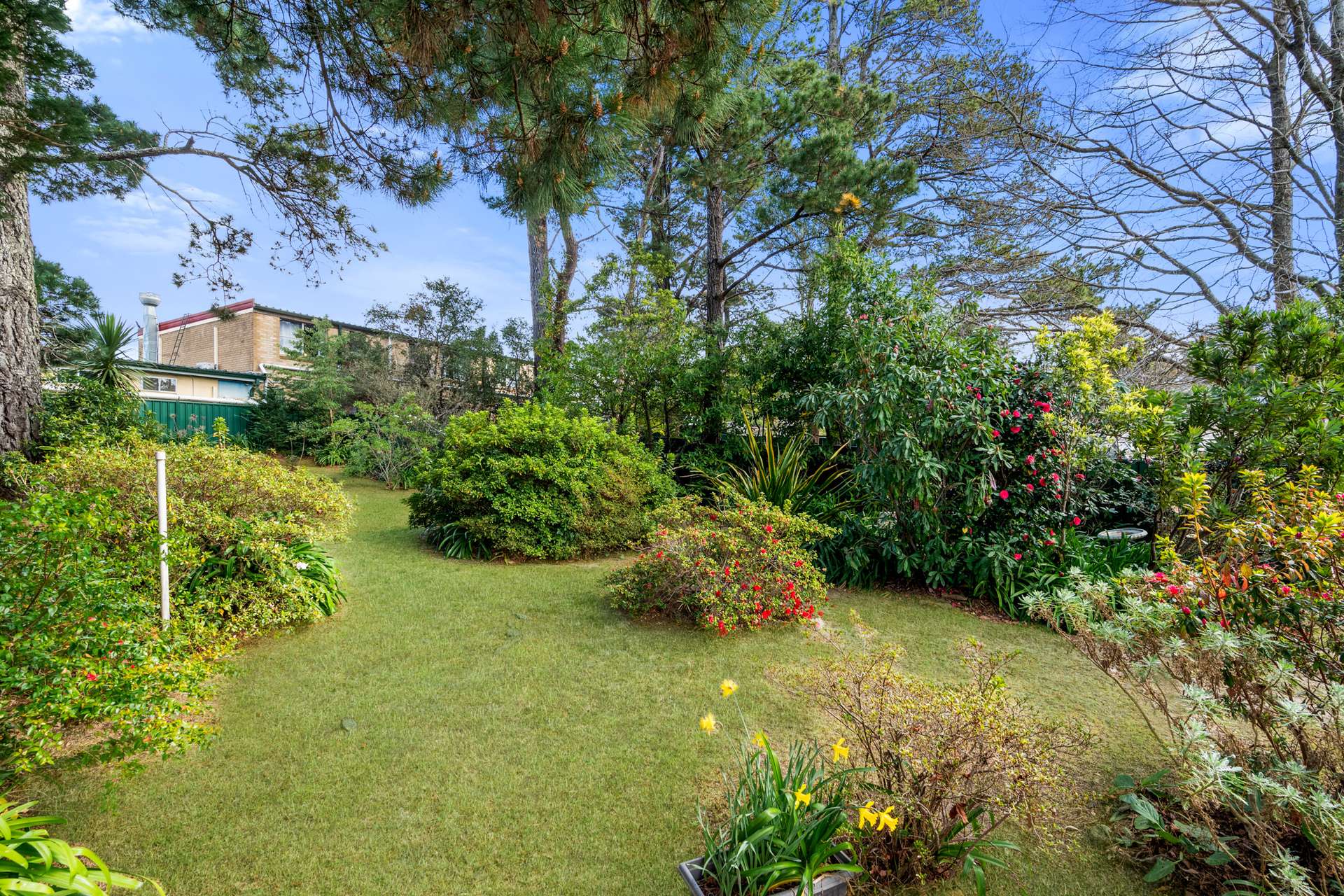 11 Raymond Road, Katoomba, NSW 2780 AUS