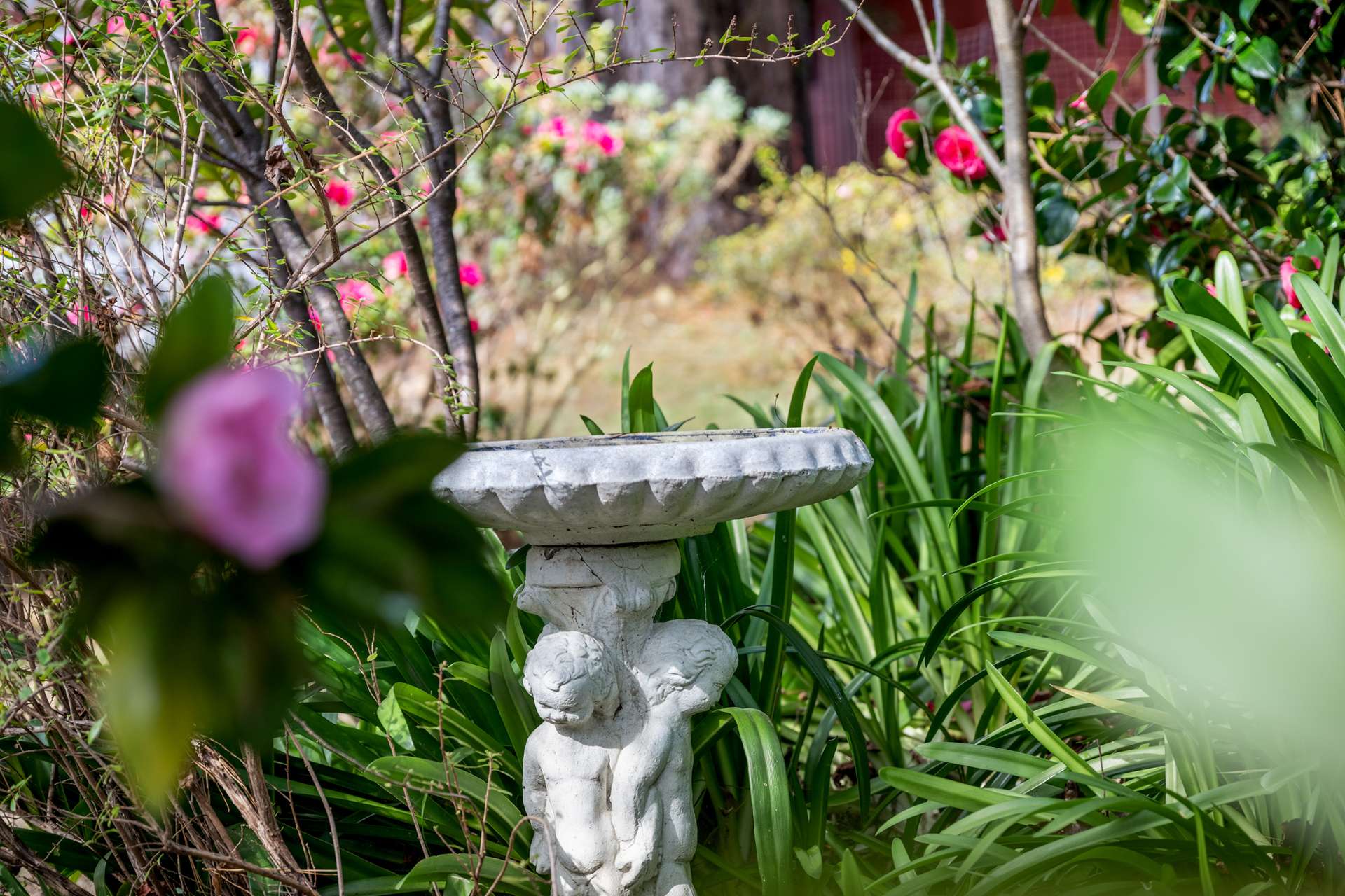 11 Raymond Road, Katoomba, NSW 2780 AUS