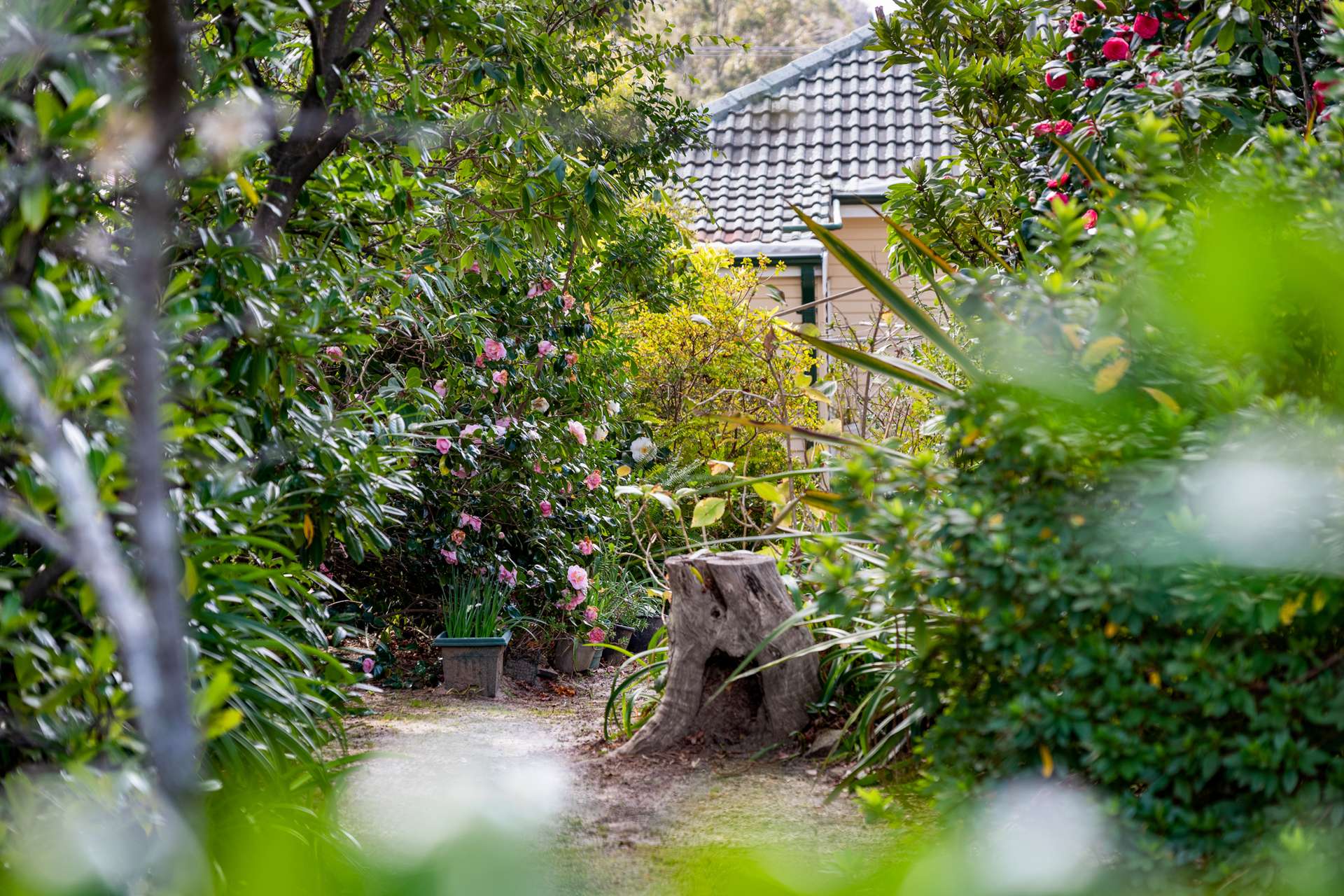 11 Raymond Road, Katoomba, NSW 2780 AUS