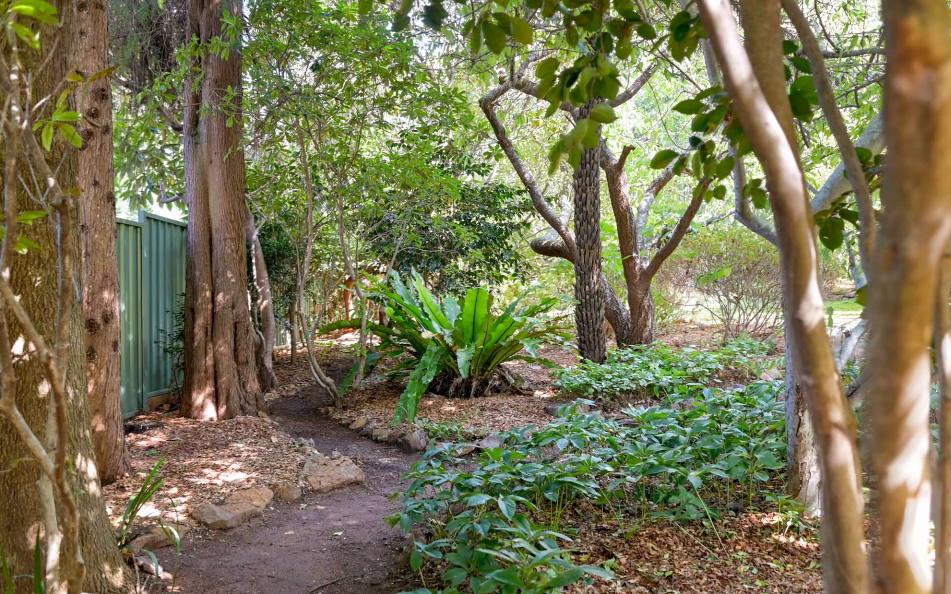 144 Craigend Street, Leura, NSW 2780 AUS