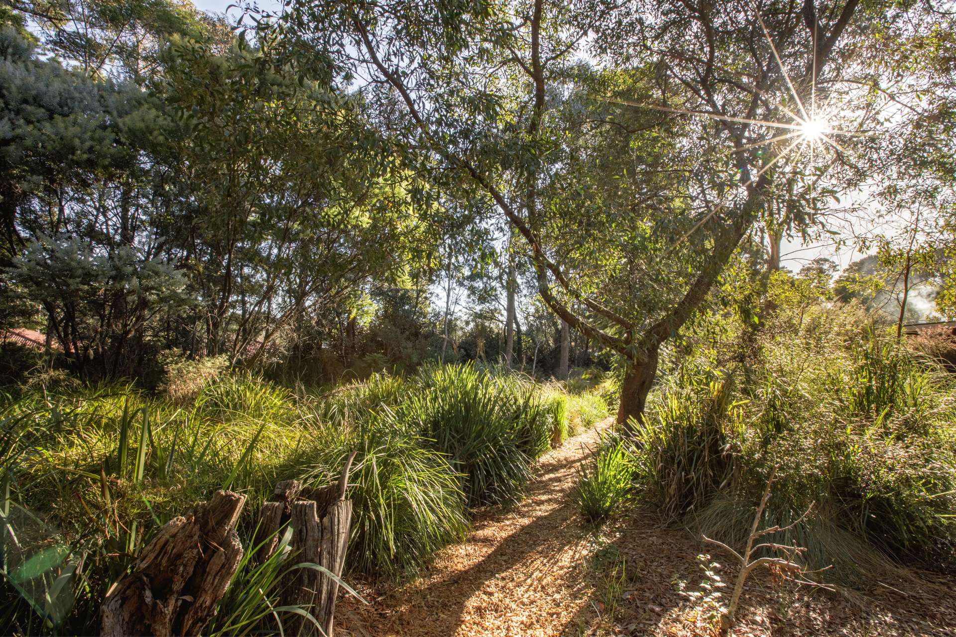 5-7 Romaine Street, Blackheath, NSW 2785 AUS