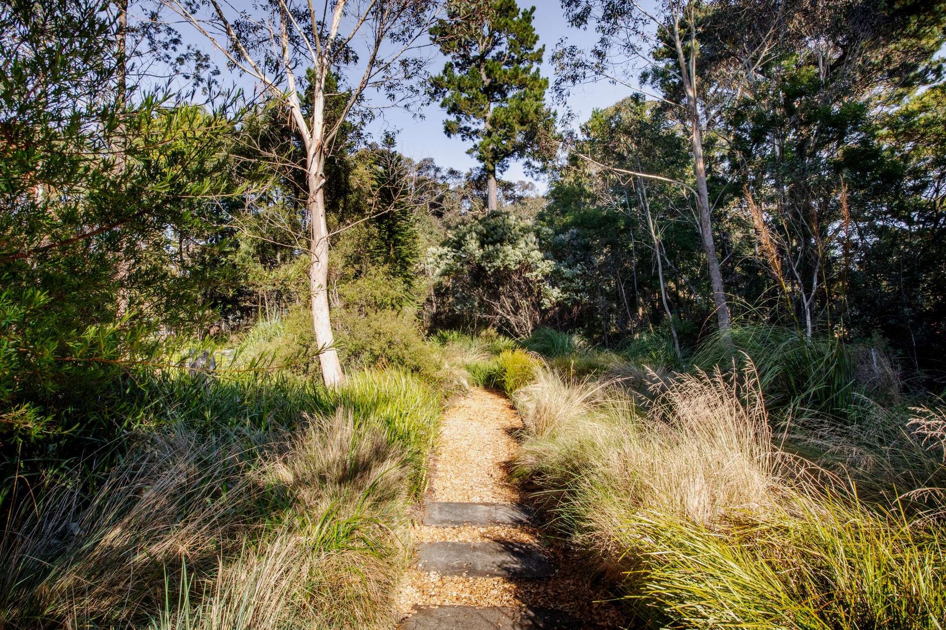 5-7 Romaine Street, Blackheath, NSW 2785 AUS