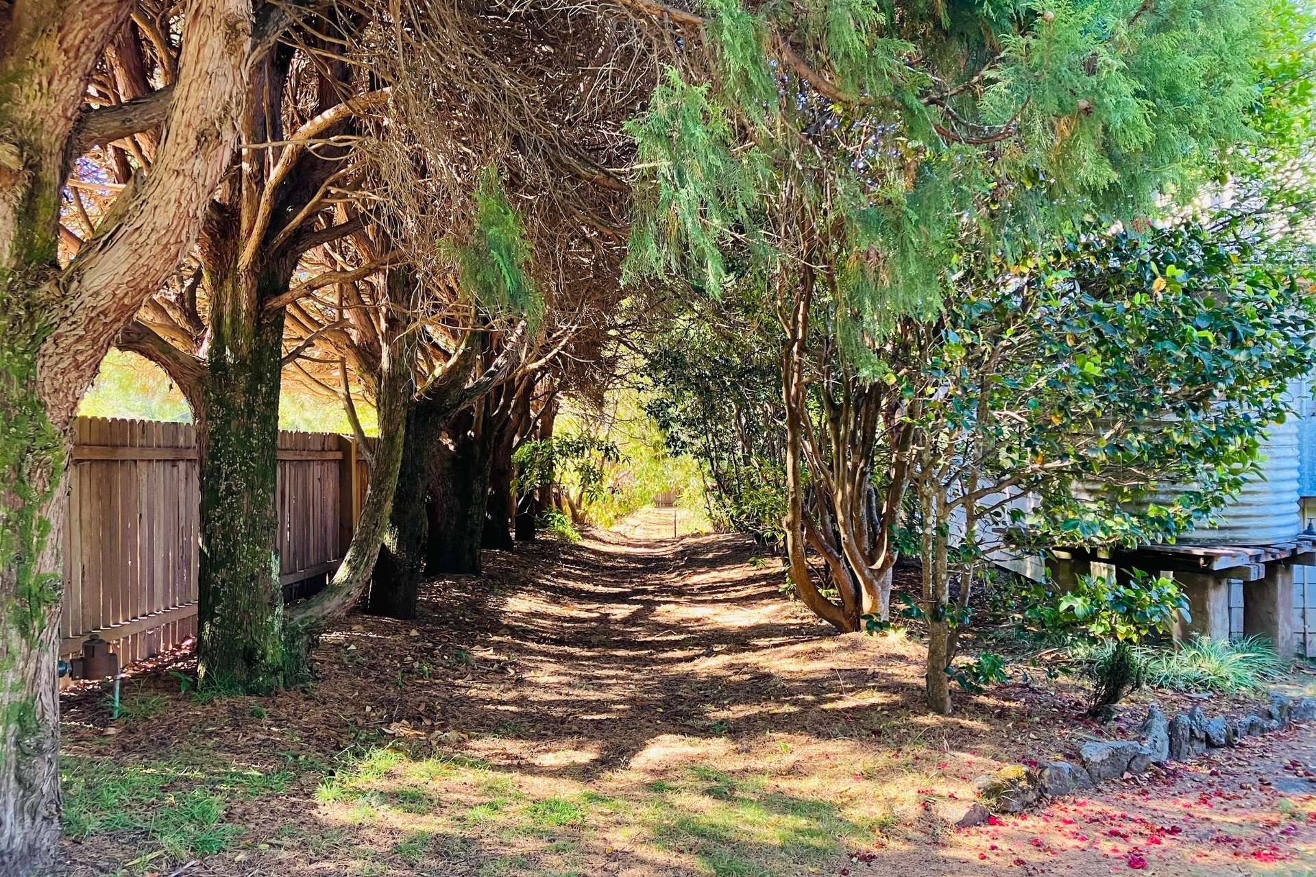 36 Armstrong Street, Wentworth Falls, NSW 2782 AUS