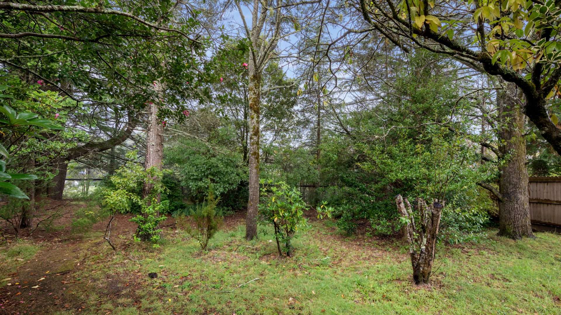36 Armstrong Street, Wentworth Falls, NSW 2782 AUS
