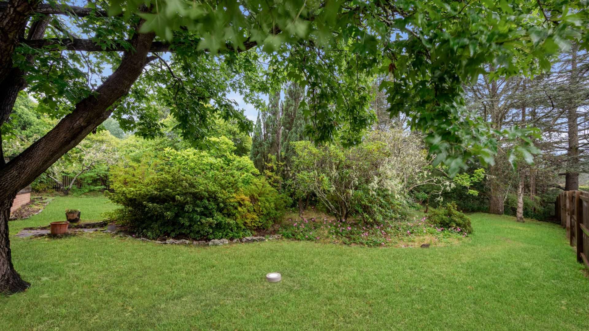 36 Armstrong Street, Wentworth Falls, NSW 2782 AUS
