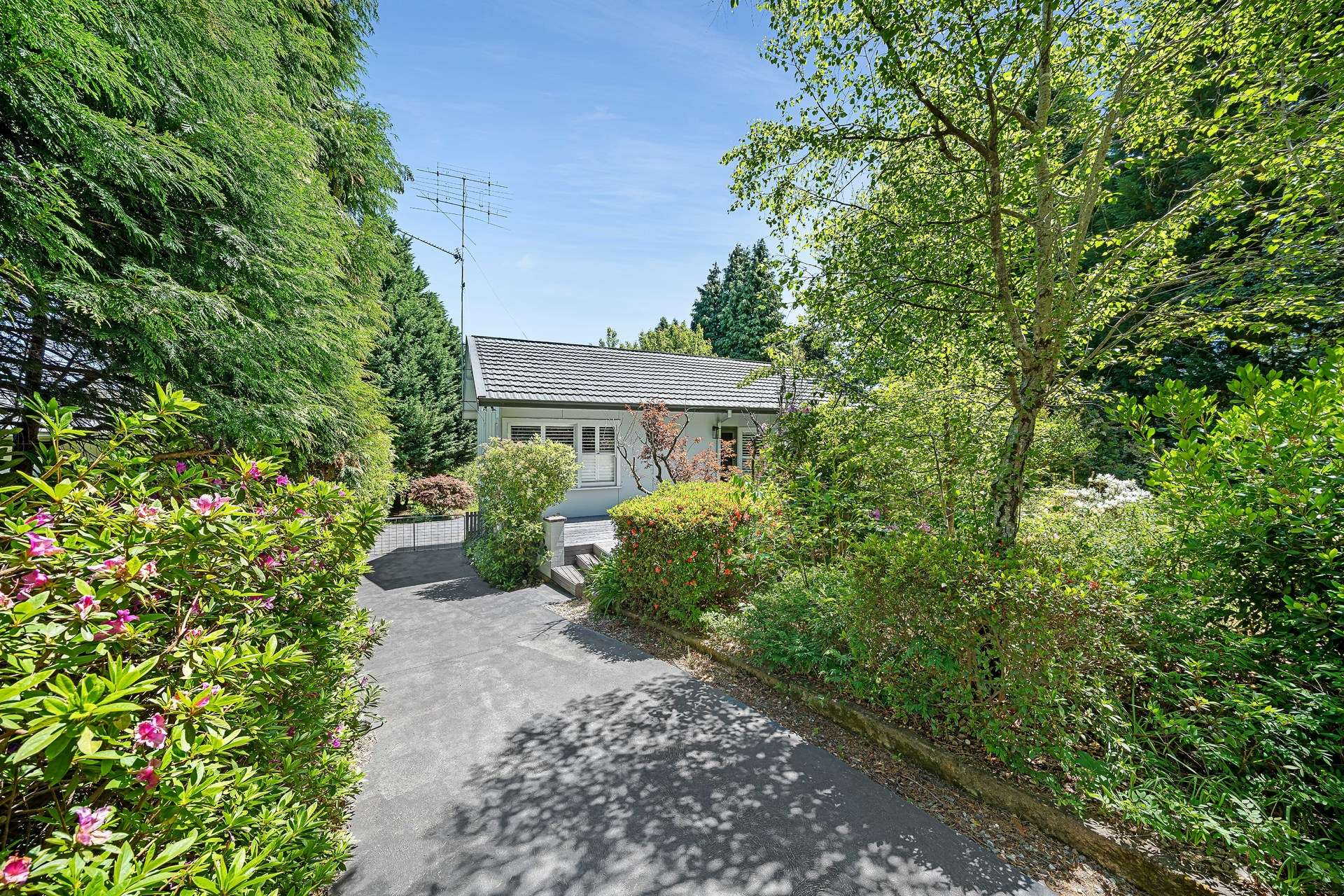 55 Jersey Avenue, Leura, NSW 2780 AUS