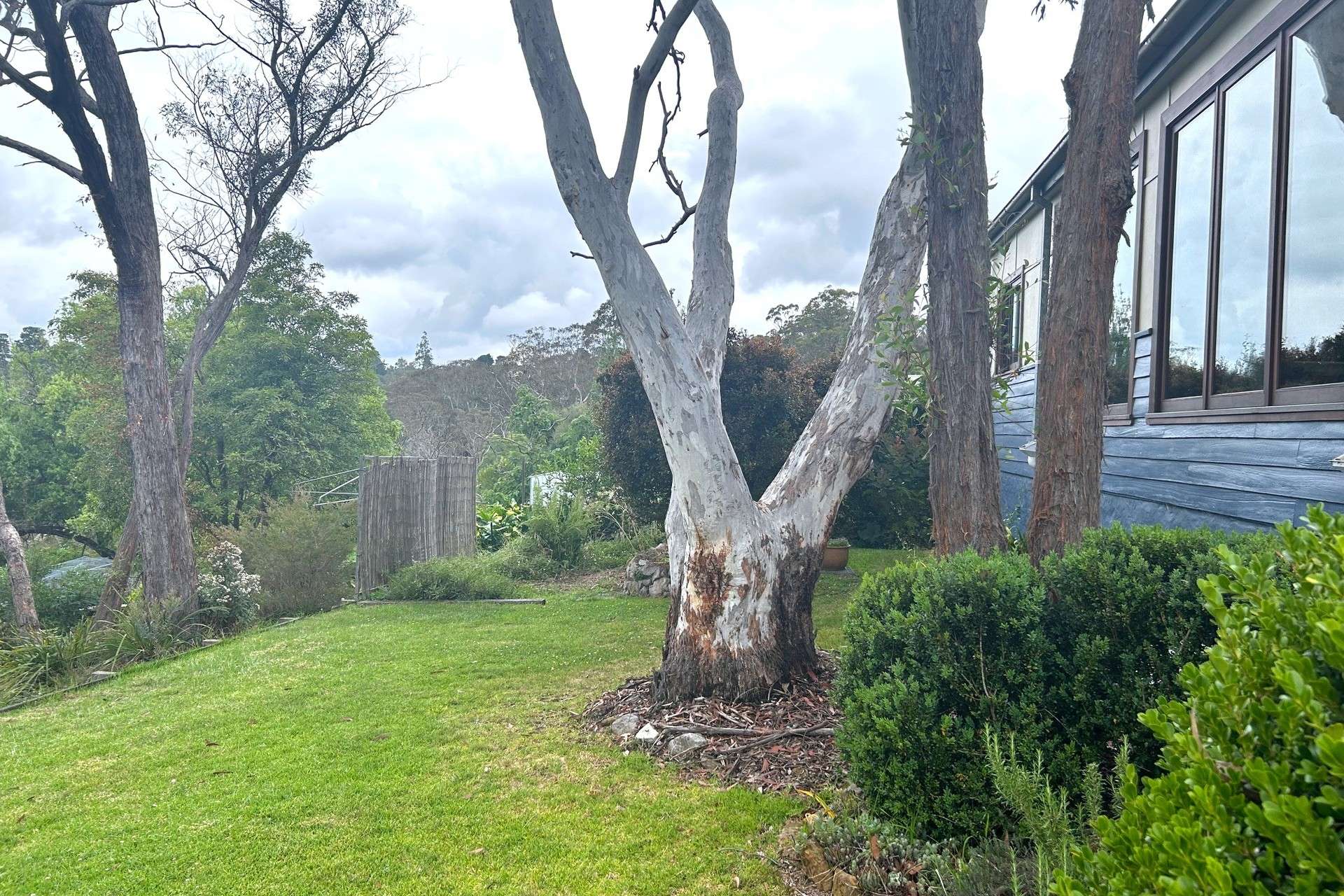 13 Beauford Street, Woodford, NSW 2778 AUS